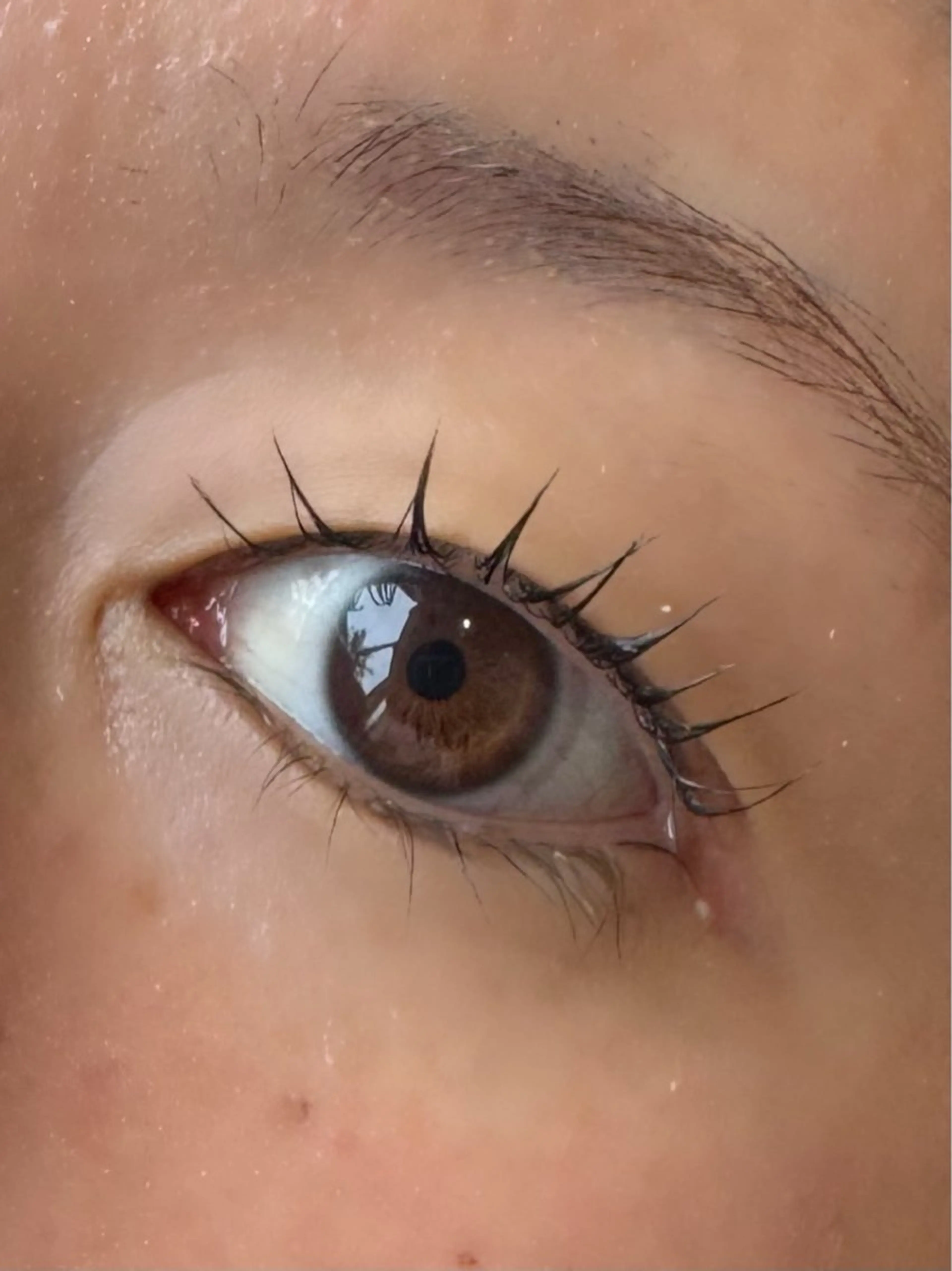 次世代まつげパーマの写真