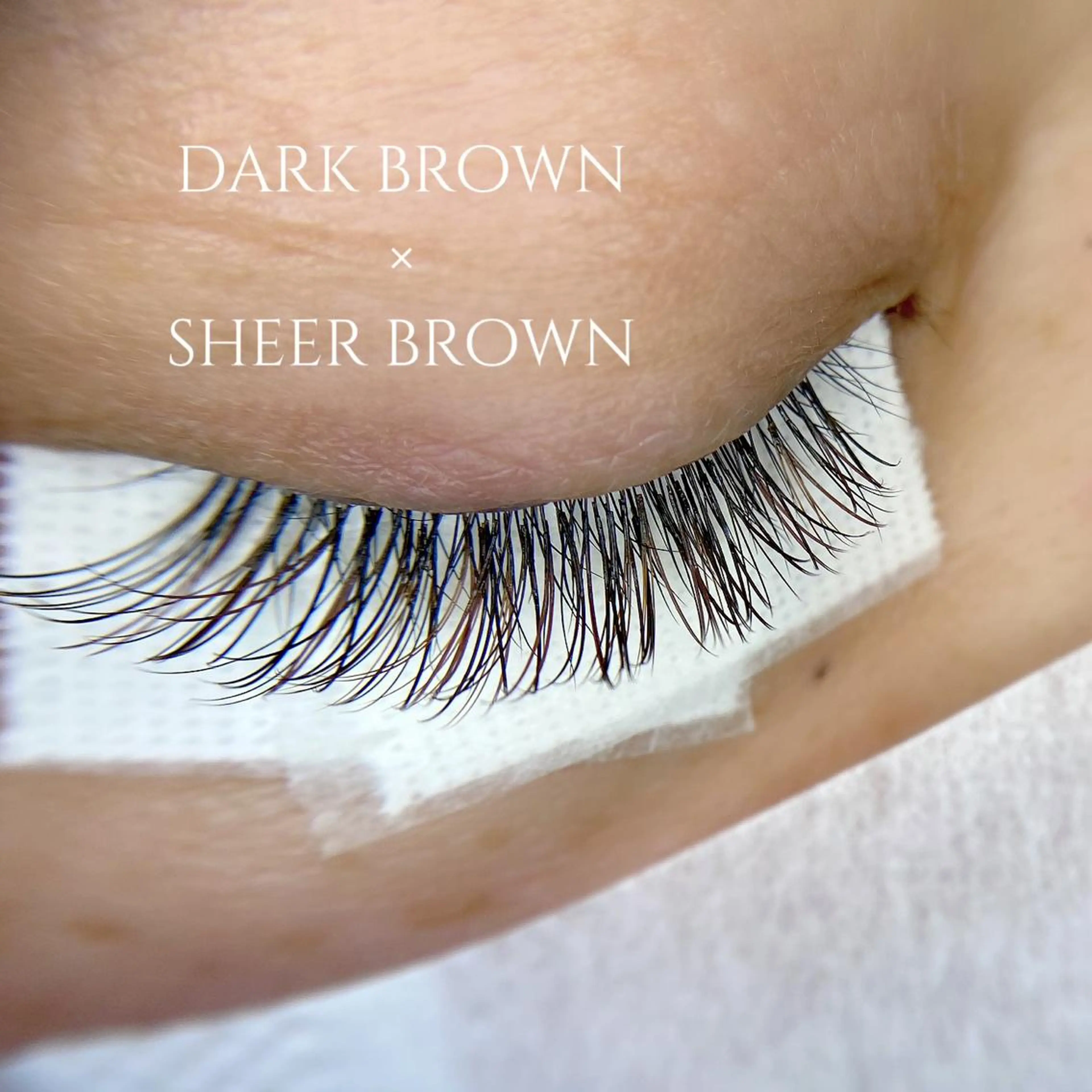 マツエク・マツパ nikatto所属・nikatto あかねのマツエク・マツパデザイン