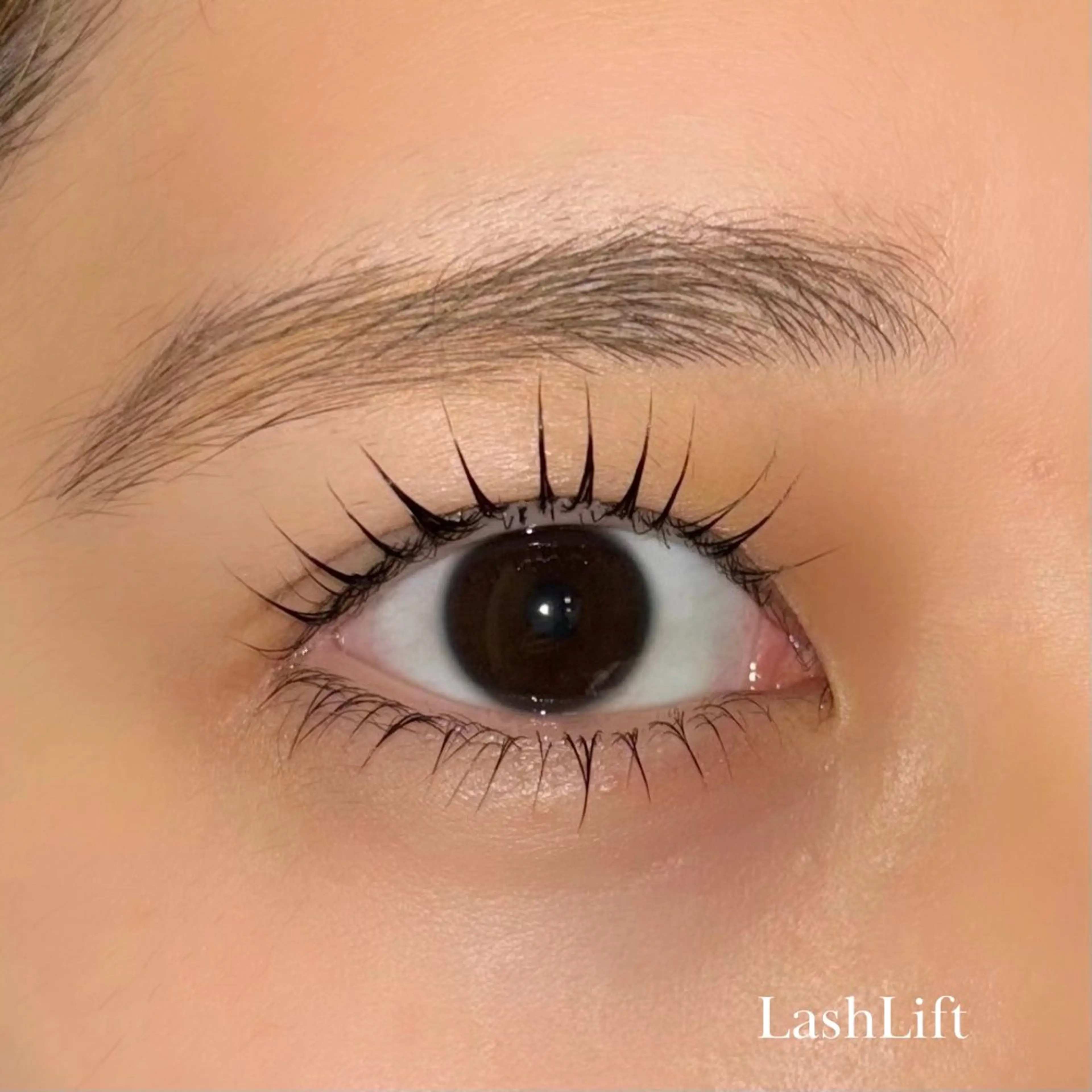 マツエク・マツパ 下まつげエクステ マツパ ヌーベルボーテ 篠塚のマツエク・マツパデザイン