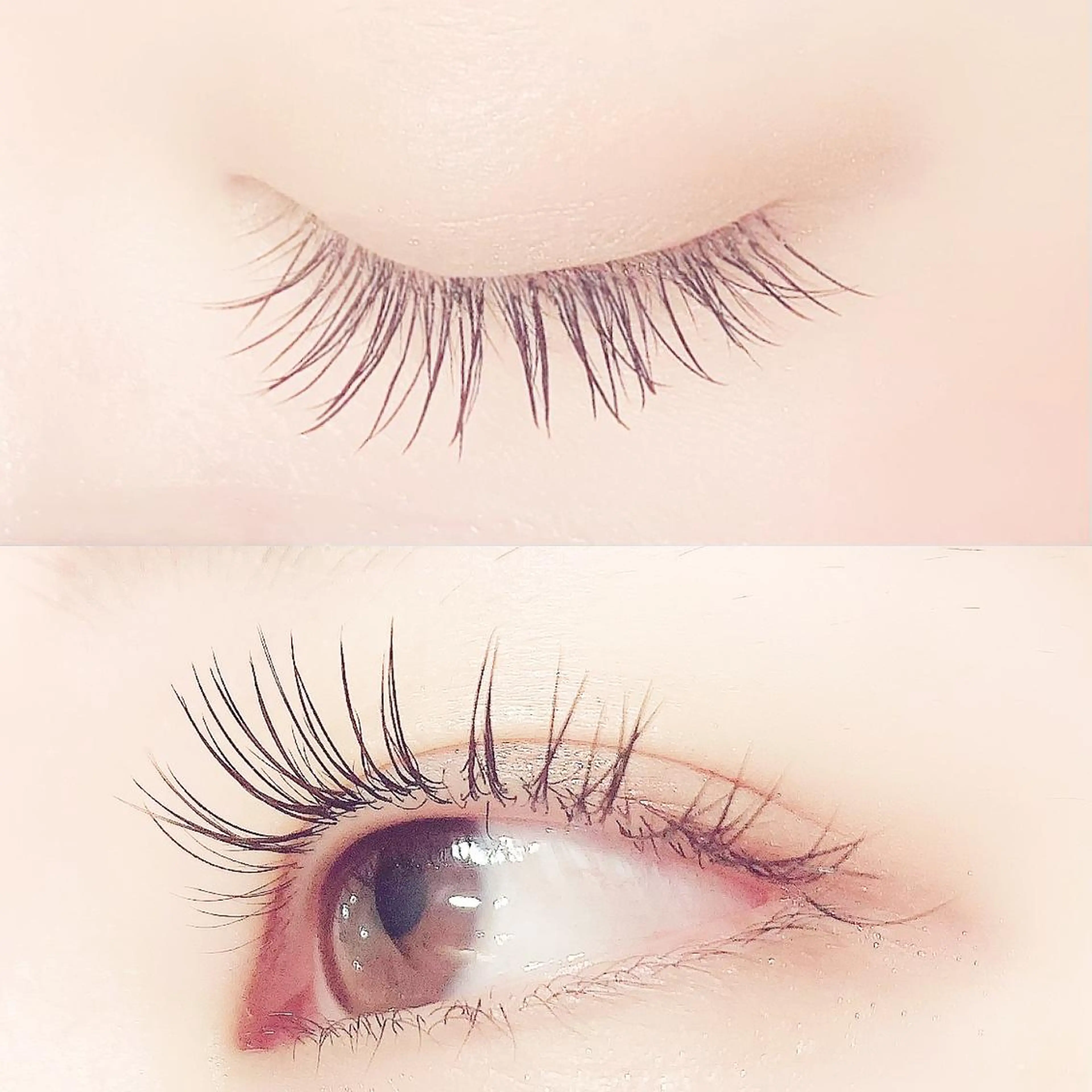 マツエク・マツパ キュート フラットラッシュ Jカール Lanhr所属・【Lanhr】 🕊aya🕊のマツエク・マツパデザイン