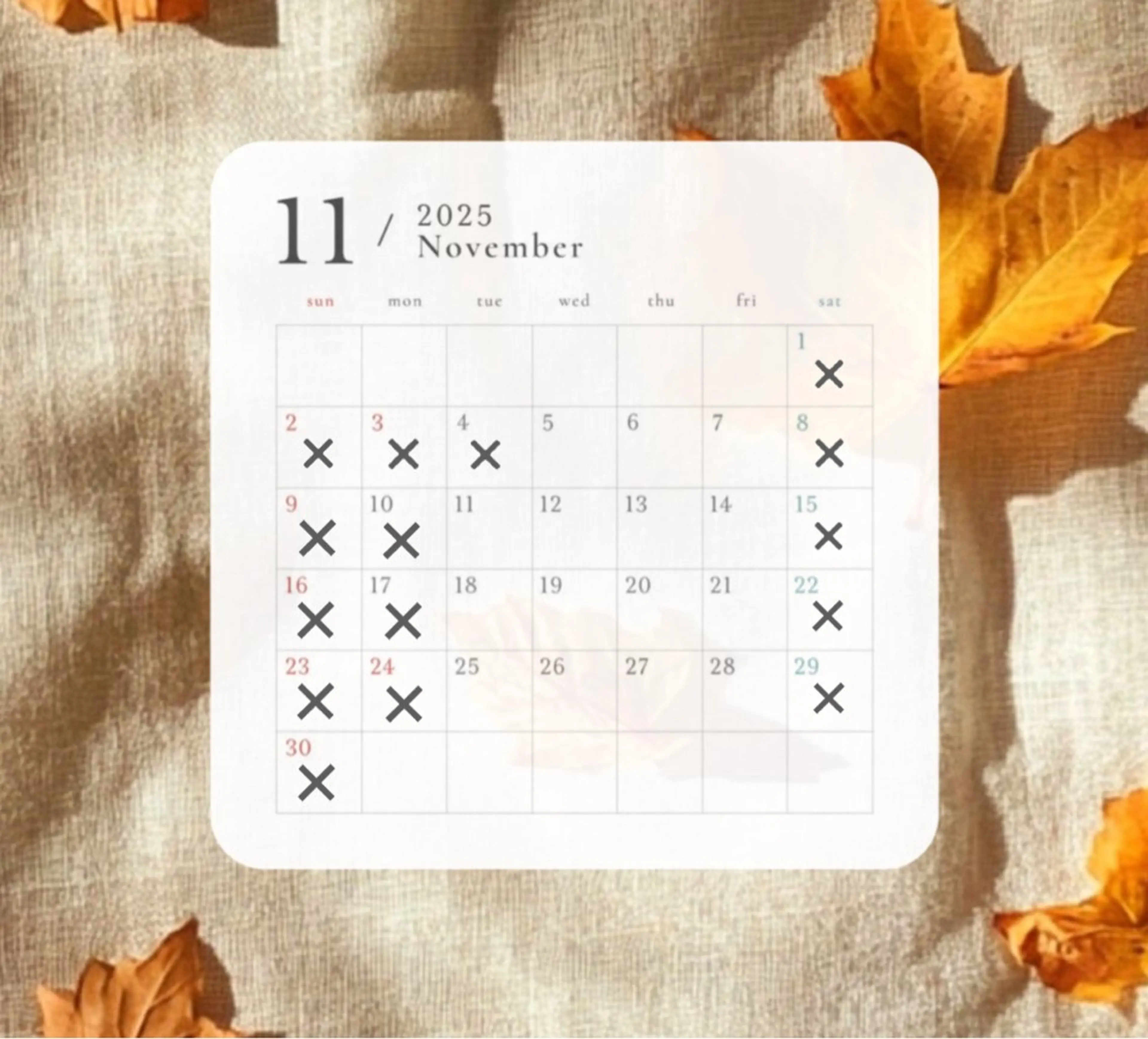 カラー ブリーチ デザインカラー ハイライトカラー ヘアカラー フーコー朝日ヶ丘店所属・小倉/fuhcoh/ 館山百合のヘアスタイル