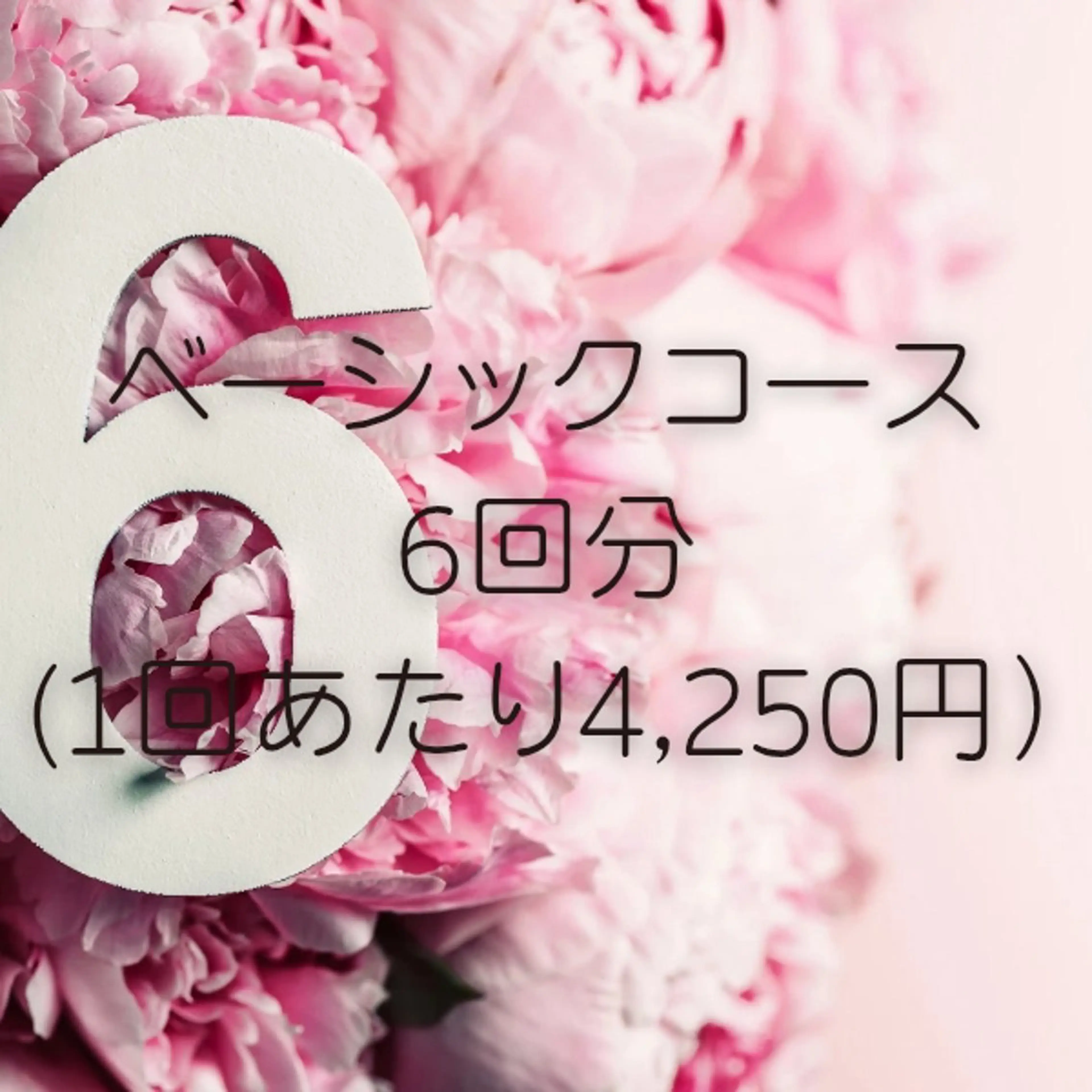 【回数券】ベーシックコース6回の写真