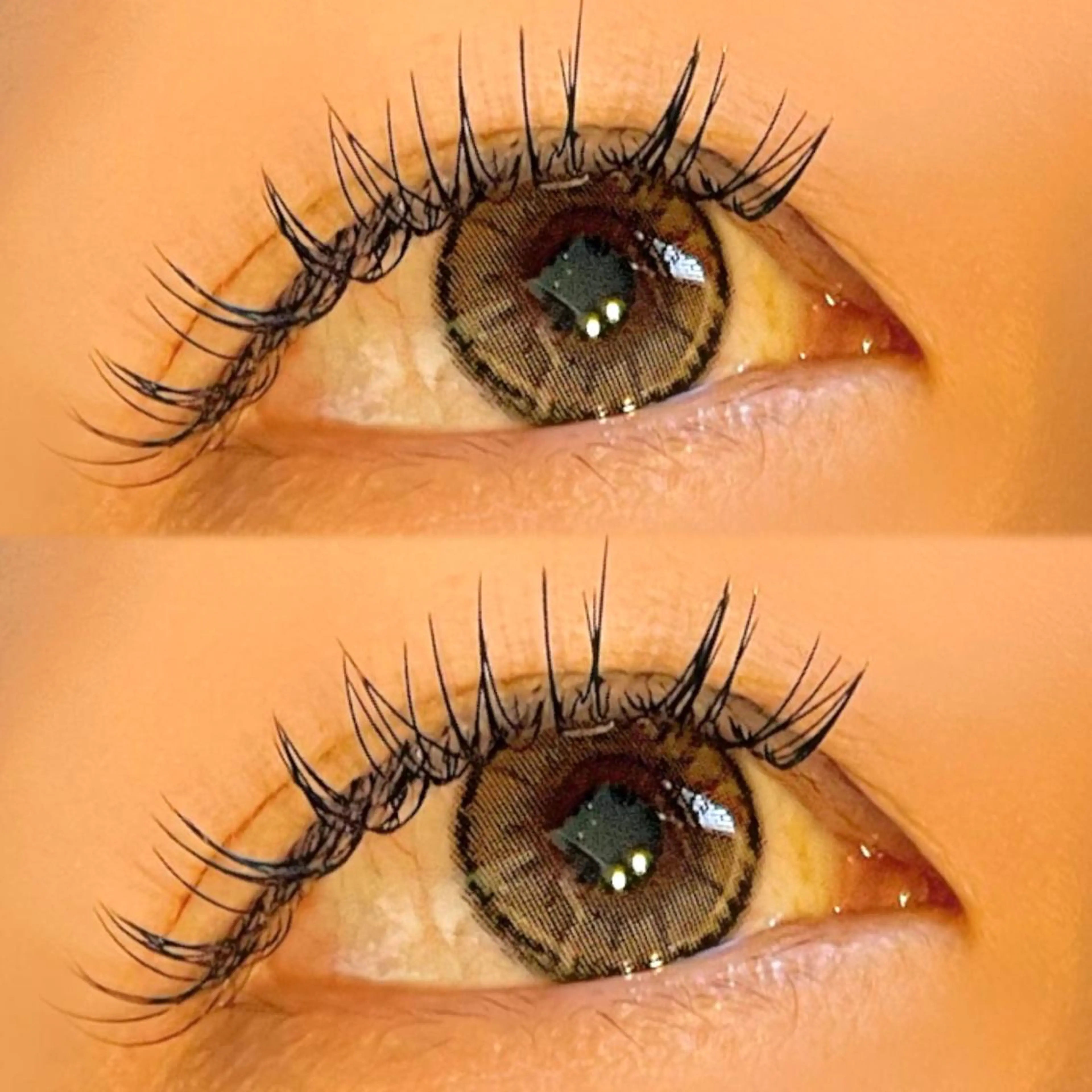 フラットラッシュ【120本】🌷の写真