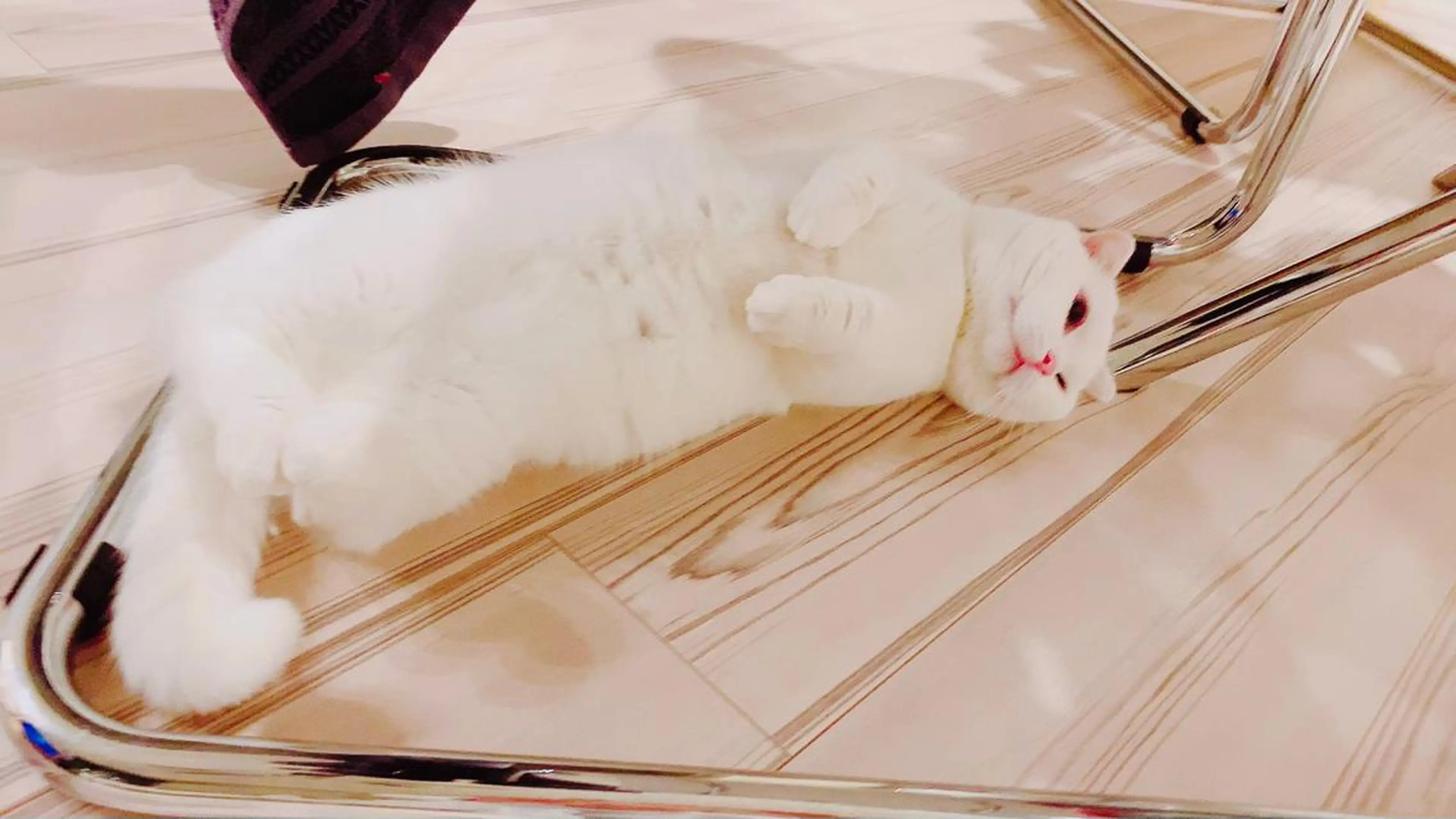 マツエク・マツパ 神山 ビューティー・アイのマツエク・マツパデザイン