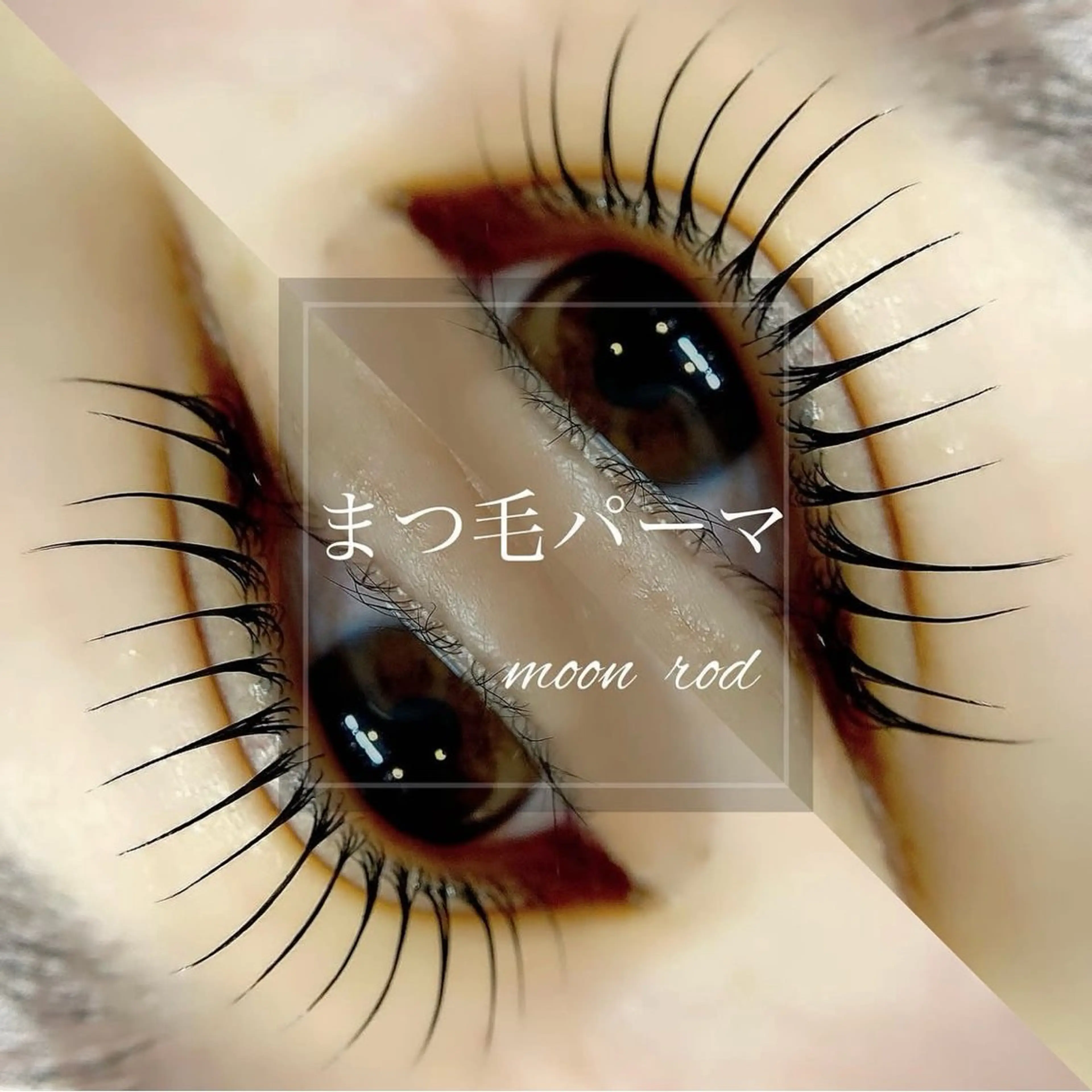 新人モデル様募集　　　　　　　　　　　　　【まつ毛の達人サポートあり】　　　　　　　　パリジェンヌorまつ毛パーマの写真