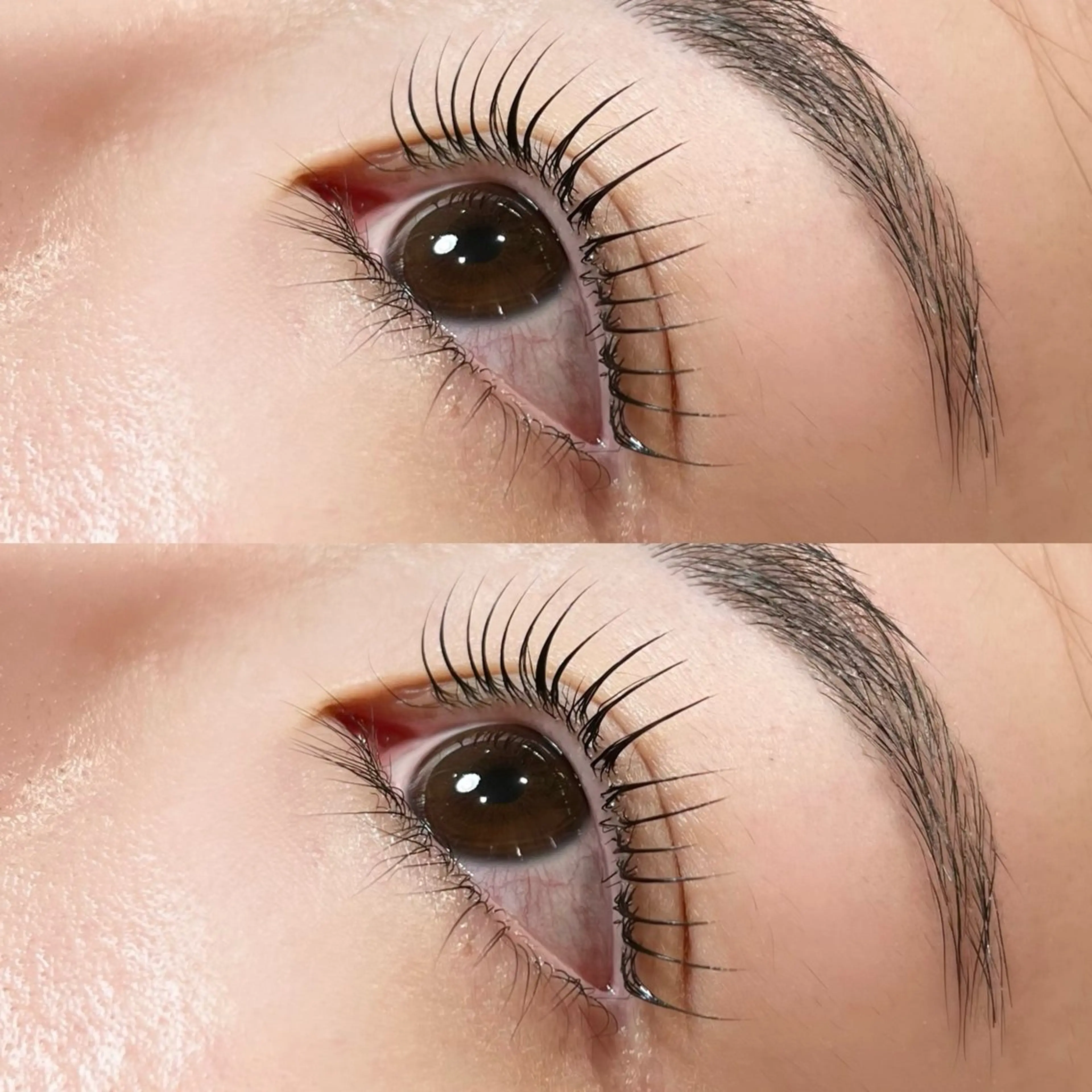 マツエク・マツパ 𝒆𝒊𝒈𝒉𝒕 杏花のマツエク・マツパデザイン