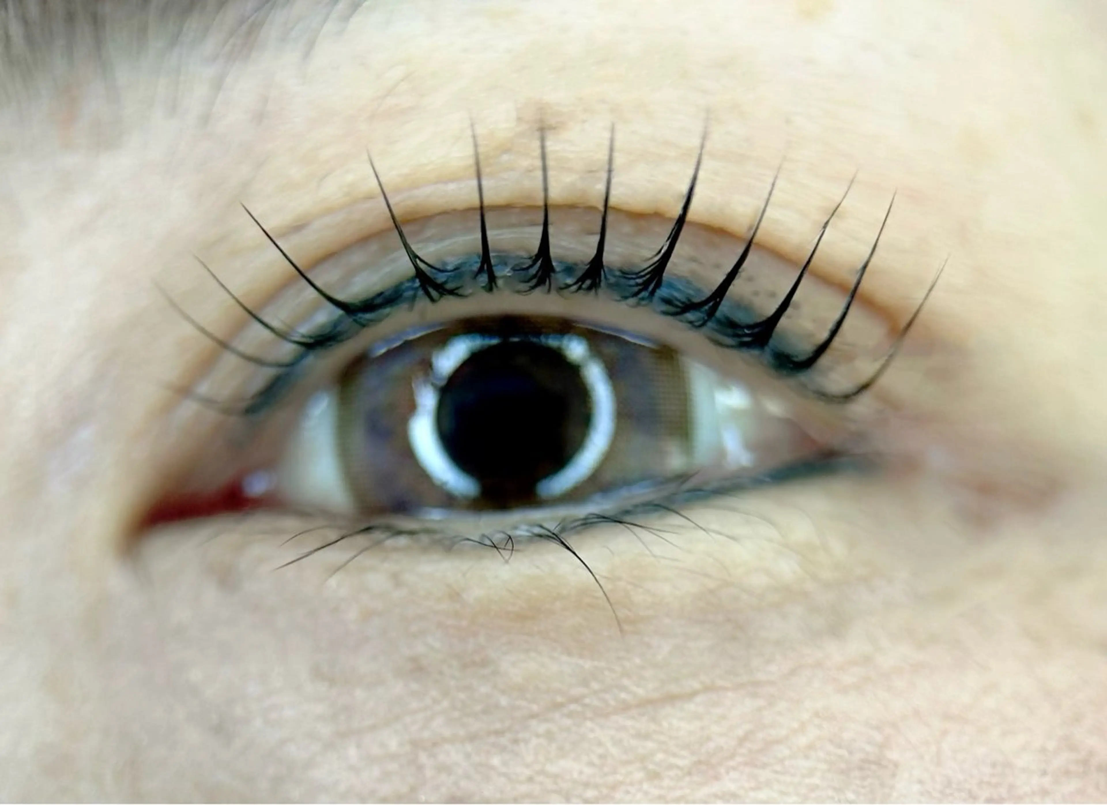 マツエク・マツパ c-room所属・c-room eye salonのマツエク・マツパデザイン