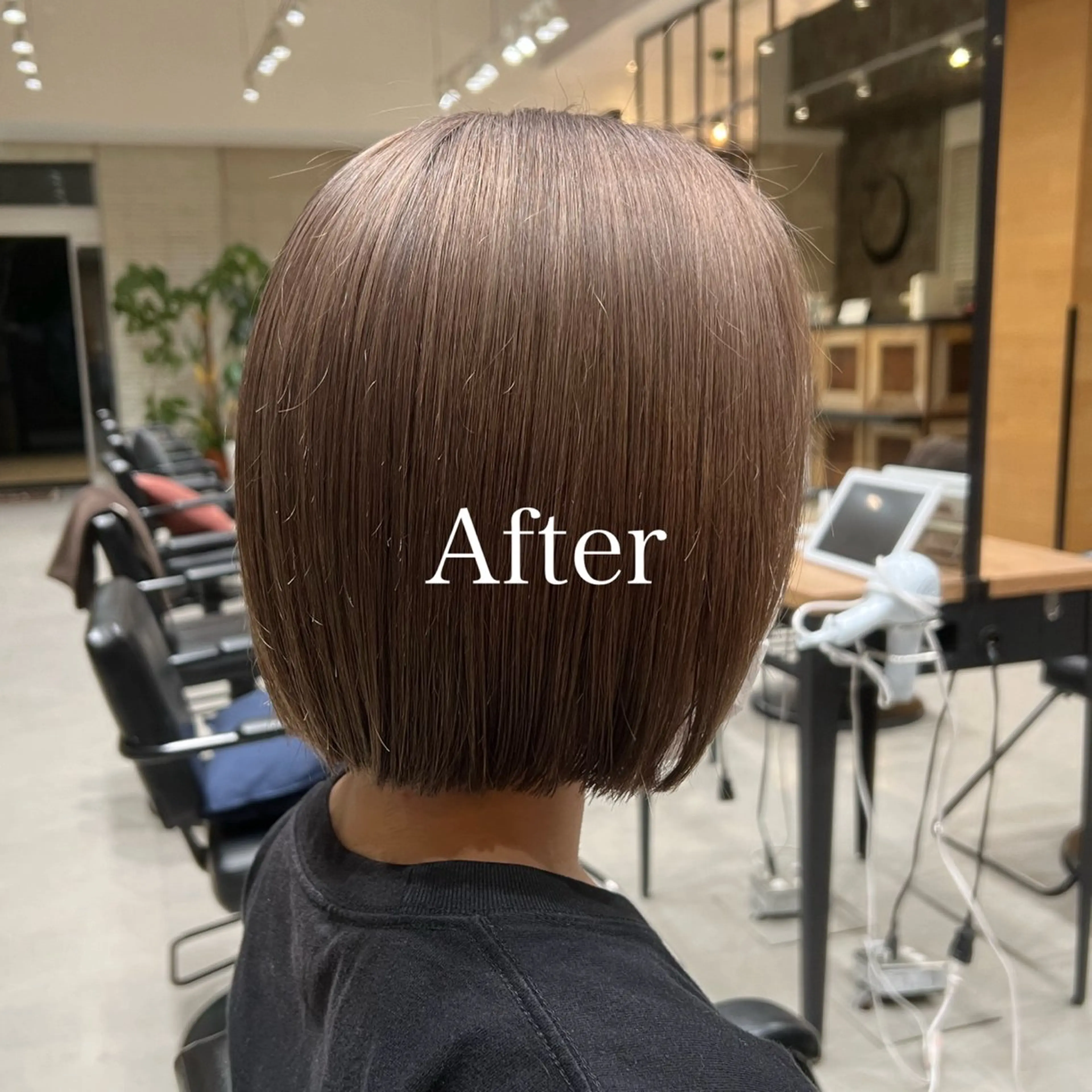 ショート カラー グレージュ ボブ レディースヘア💫 加藤たいが🐯のヘアスタイル