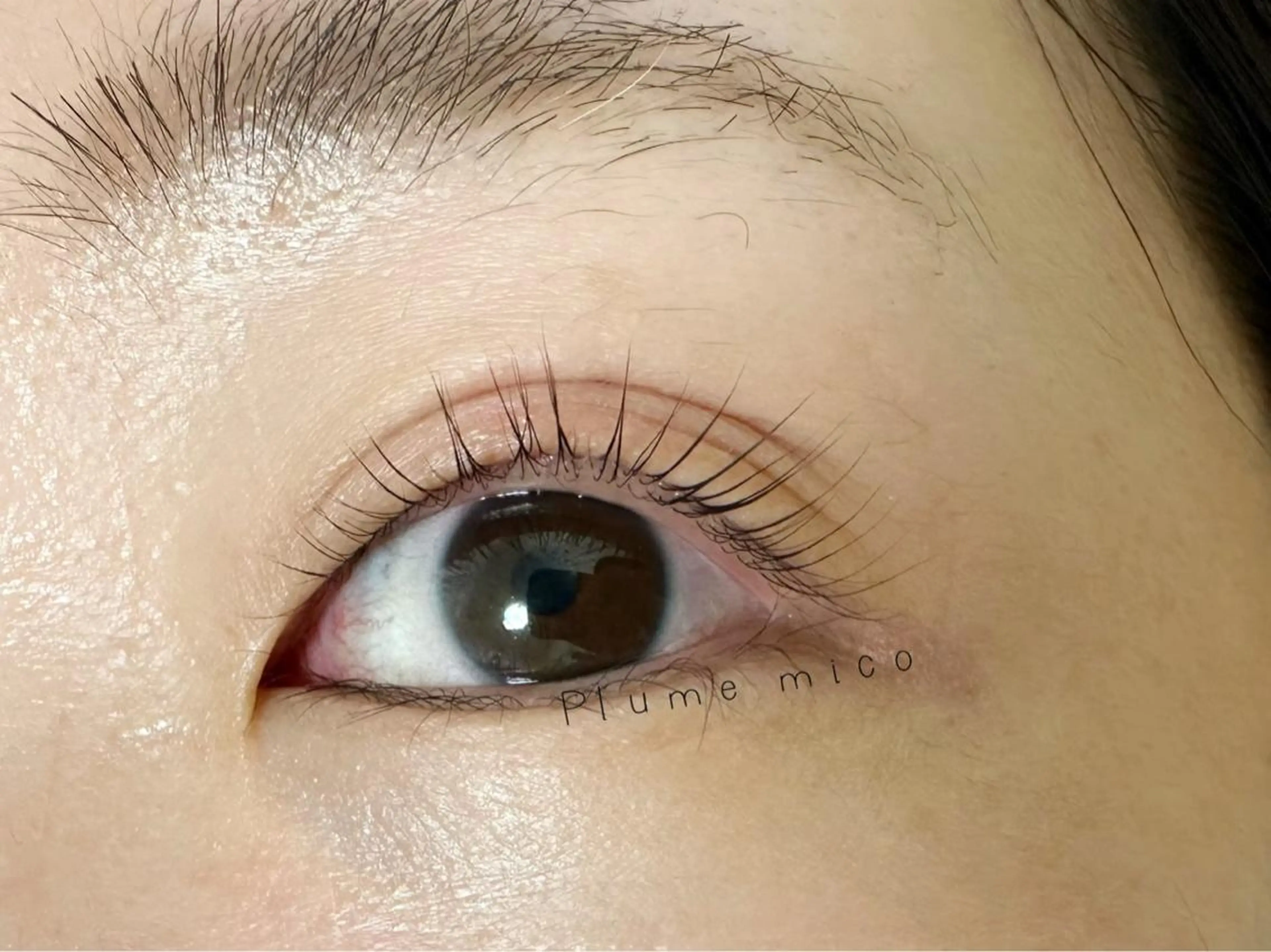 マツエク・マツパ マツパ Plume micoのマツエク・マツパデザイン