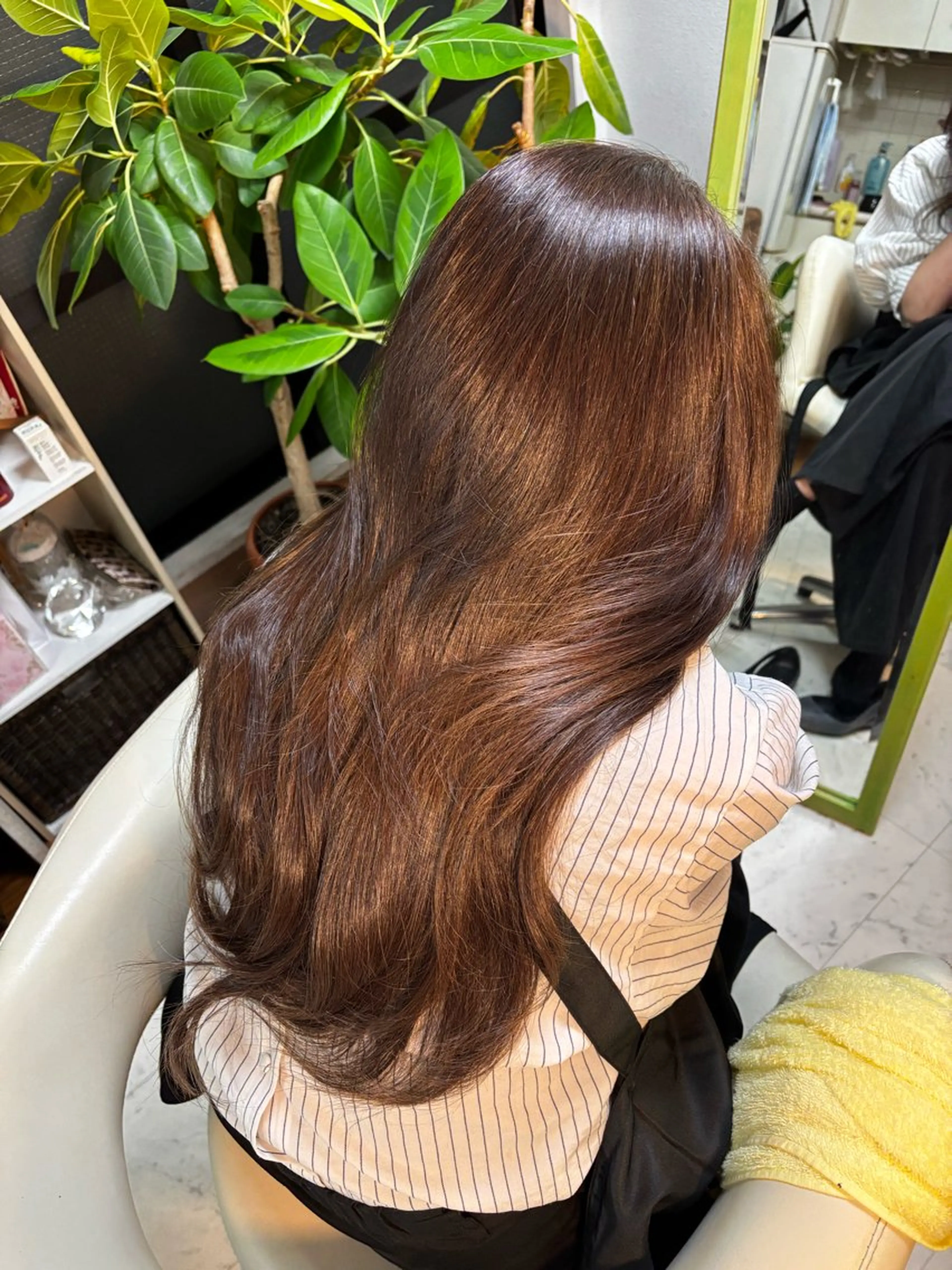 🧚カット＋艶カラー+ Inborn 3stepトリートメント🧚の写真