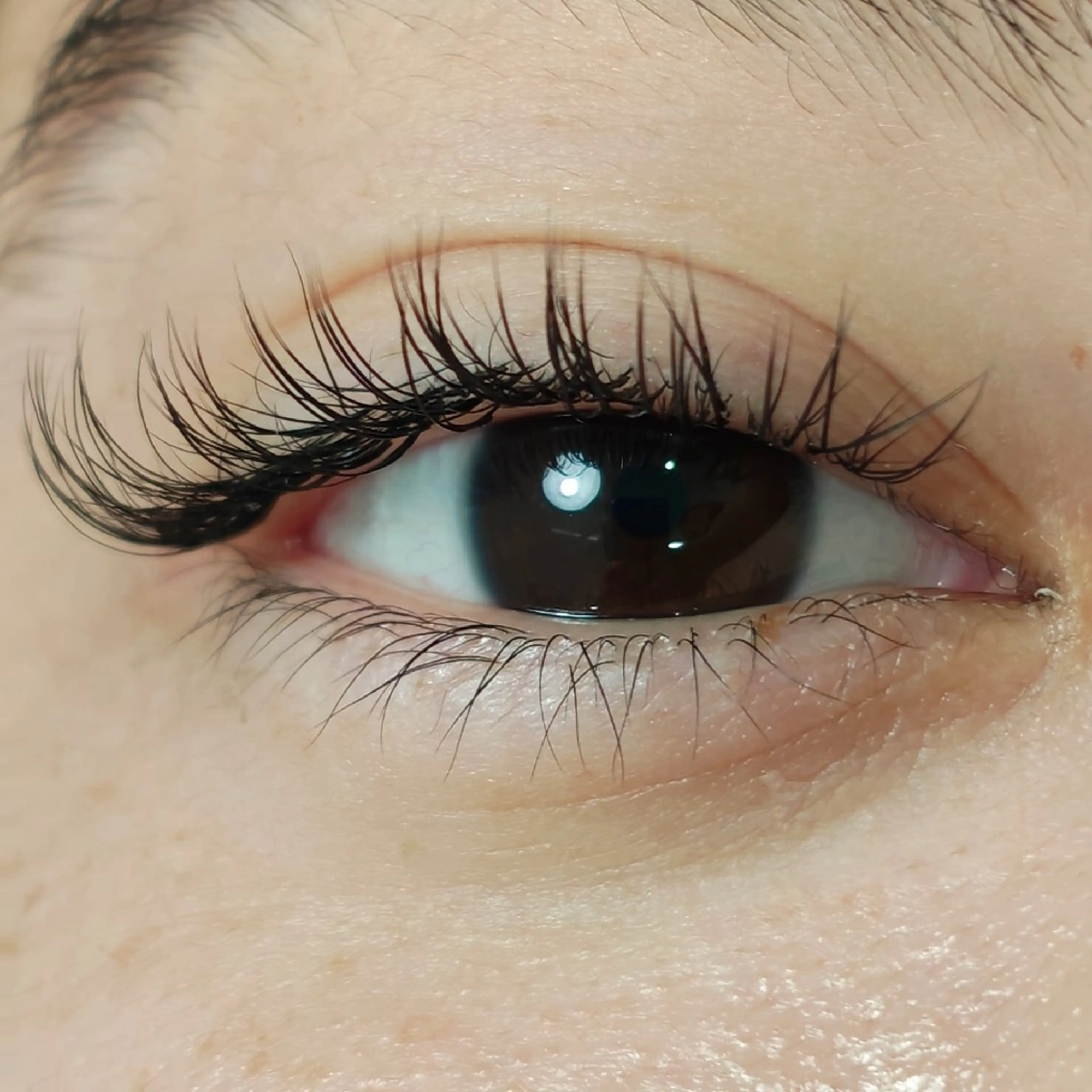 ✩フラットラッシュ　60本の写真