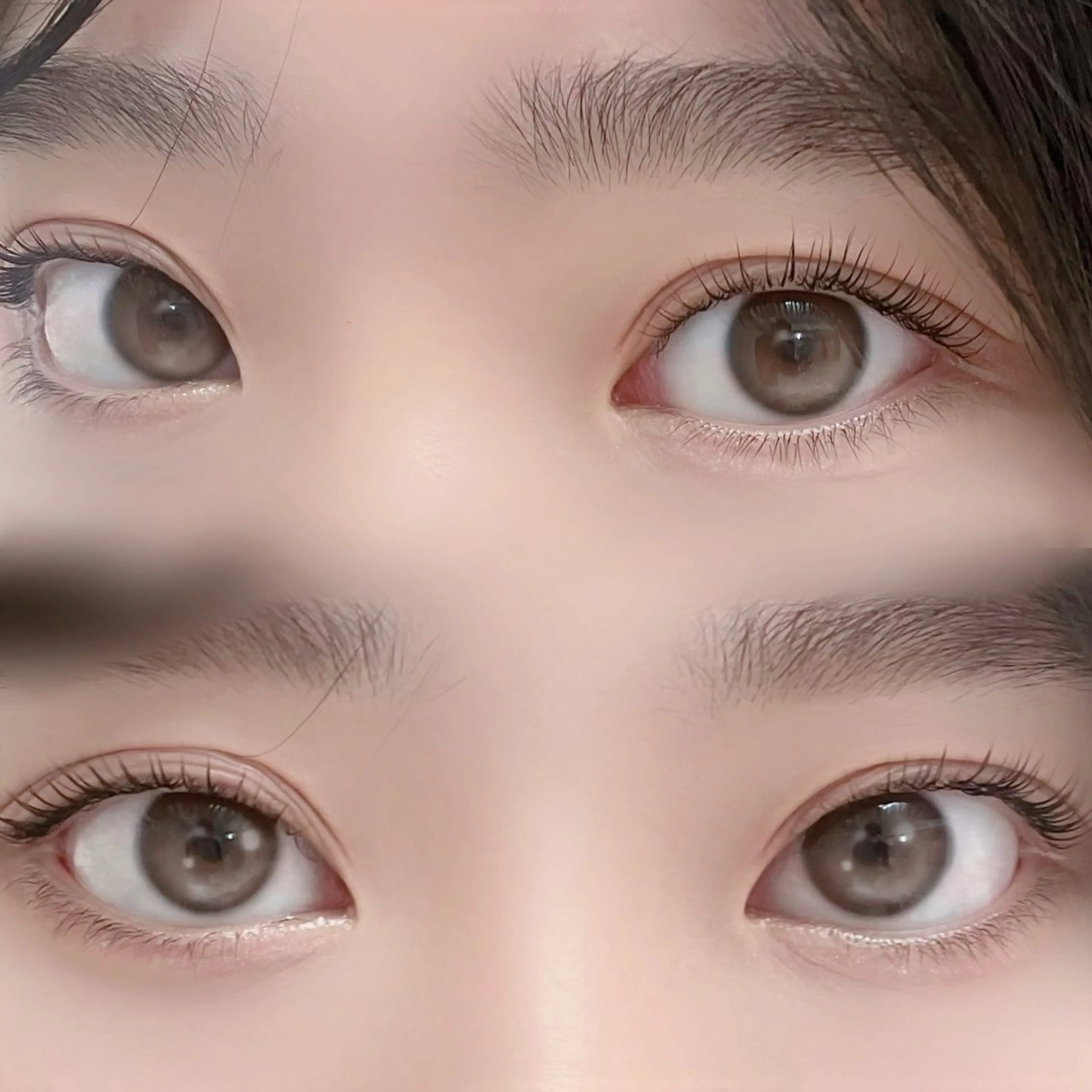 【️Jrアイリスト限定クーポン】パリジェンヌラッシュリフト🎀の写真