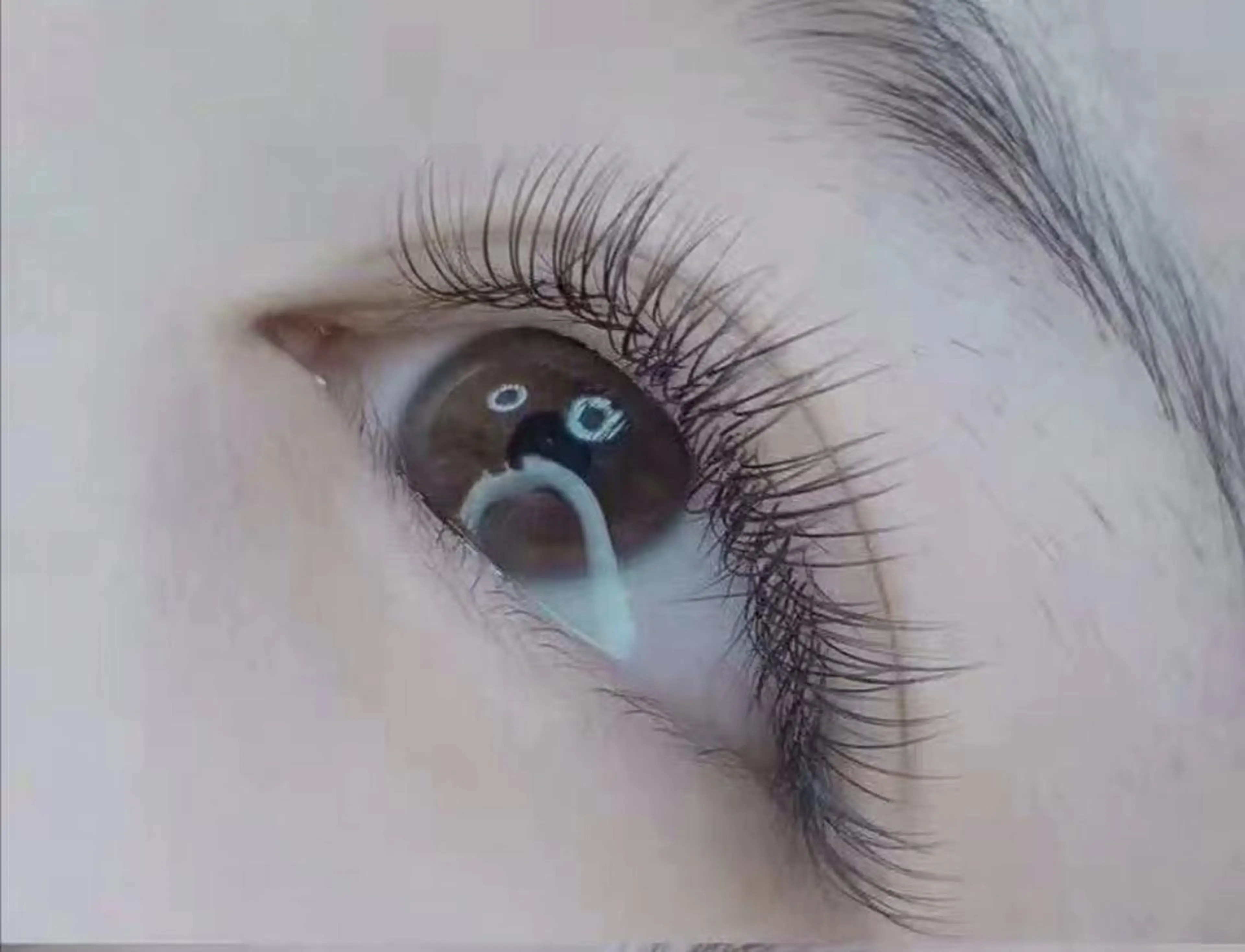 マツエク・マツパ Cute B e au t yのマツエク・マツパデザイン