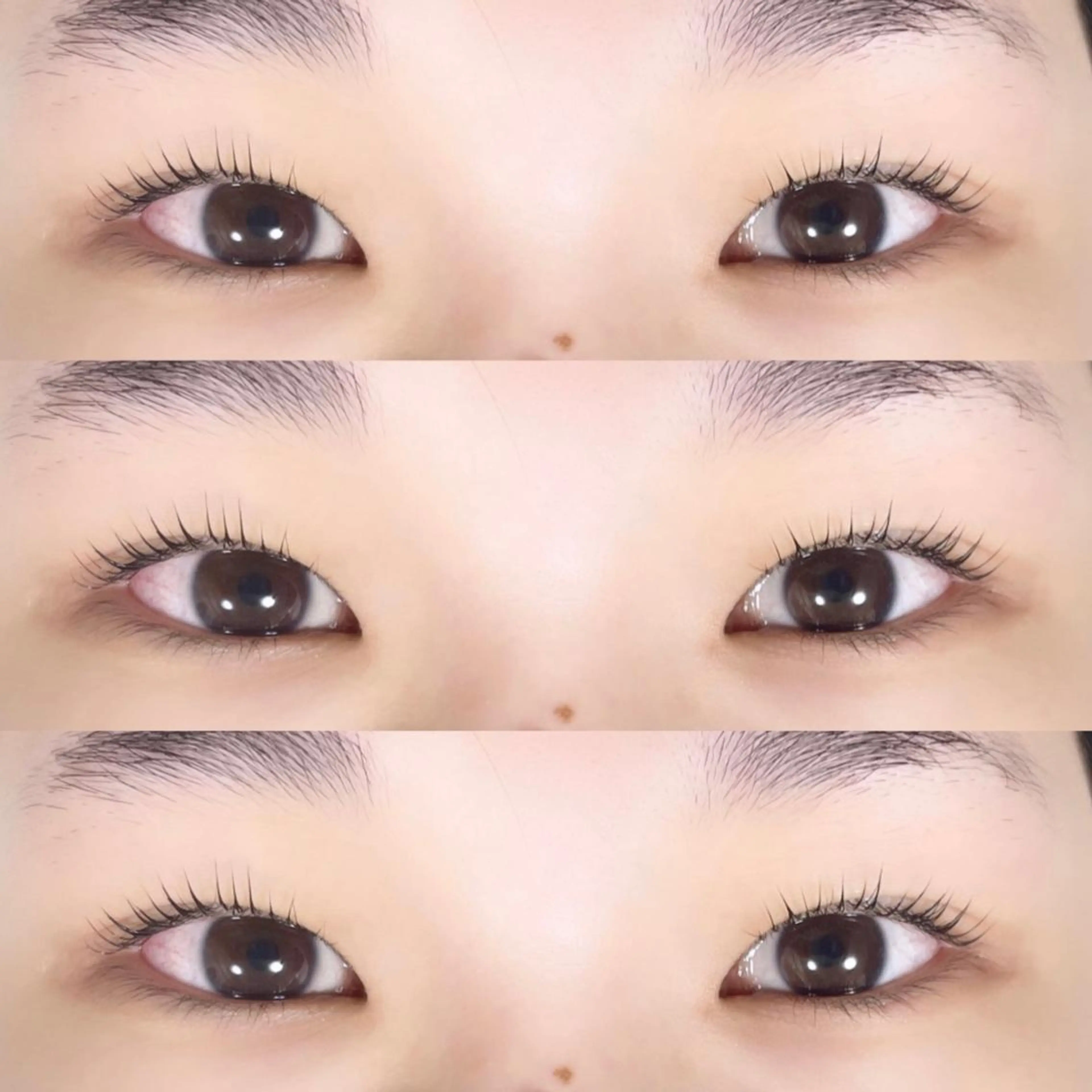 マツエク・マツパ パリジェンヌラッシュリフト TAKEO🖤 マリーテレジア藤が丘のマツエク・マツパデザイン