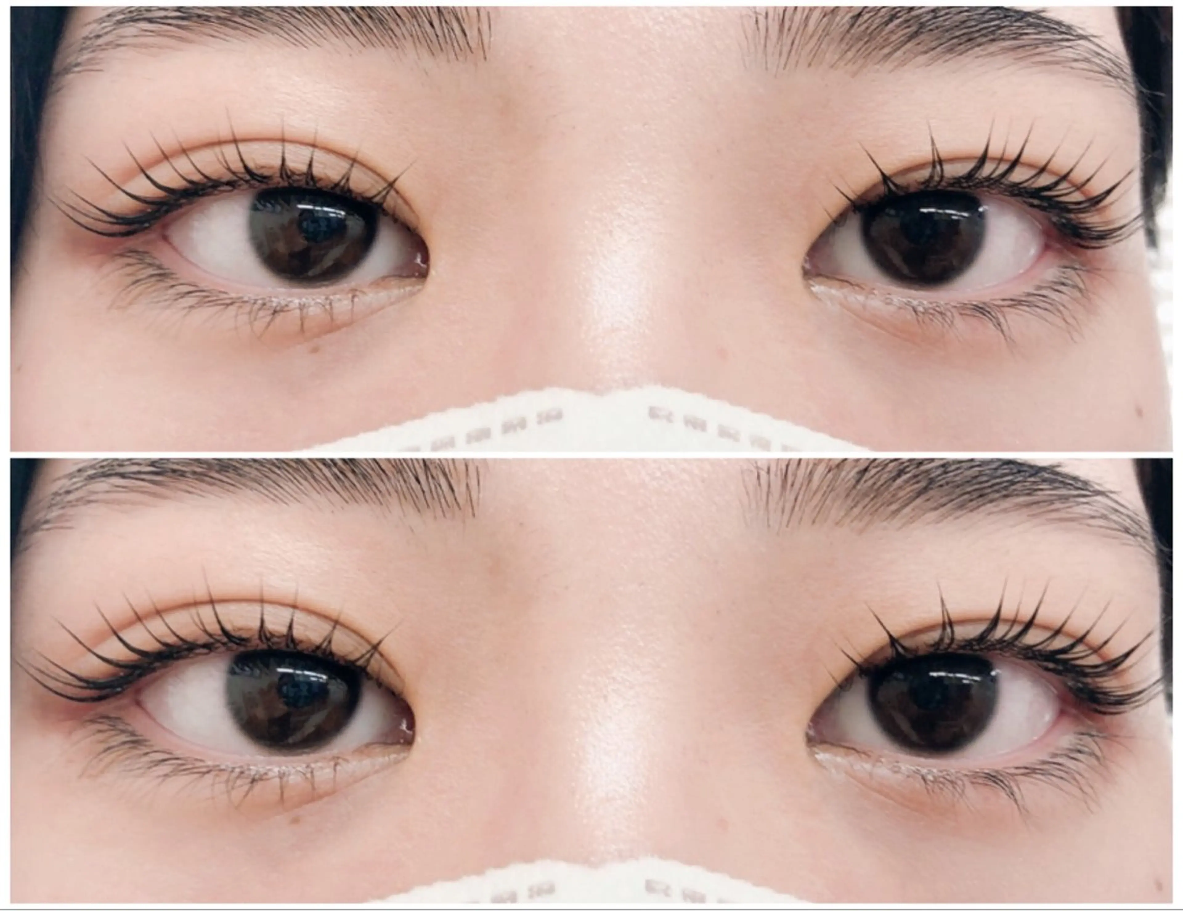 マツエク・マツパ Ladia 所沢所属・Ladia 鎌田のマツエク・マツパデザイン