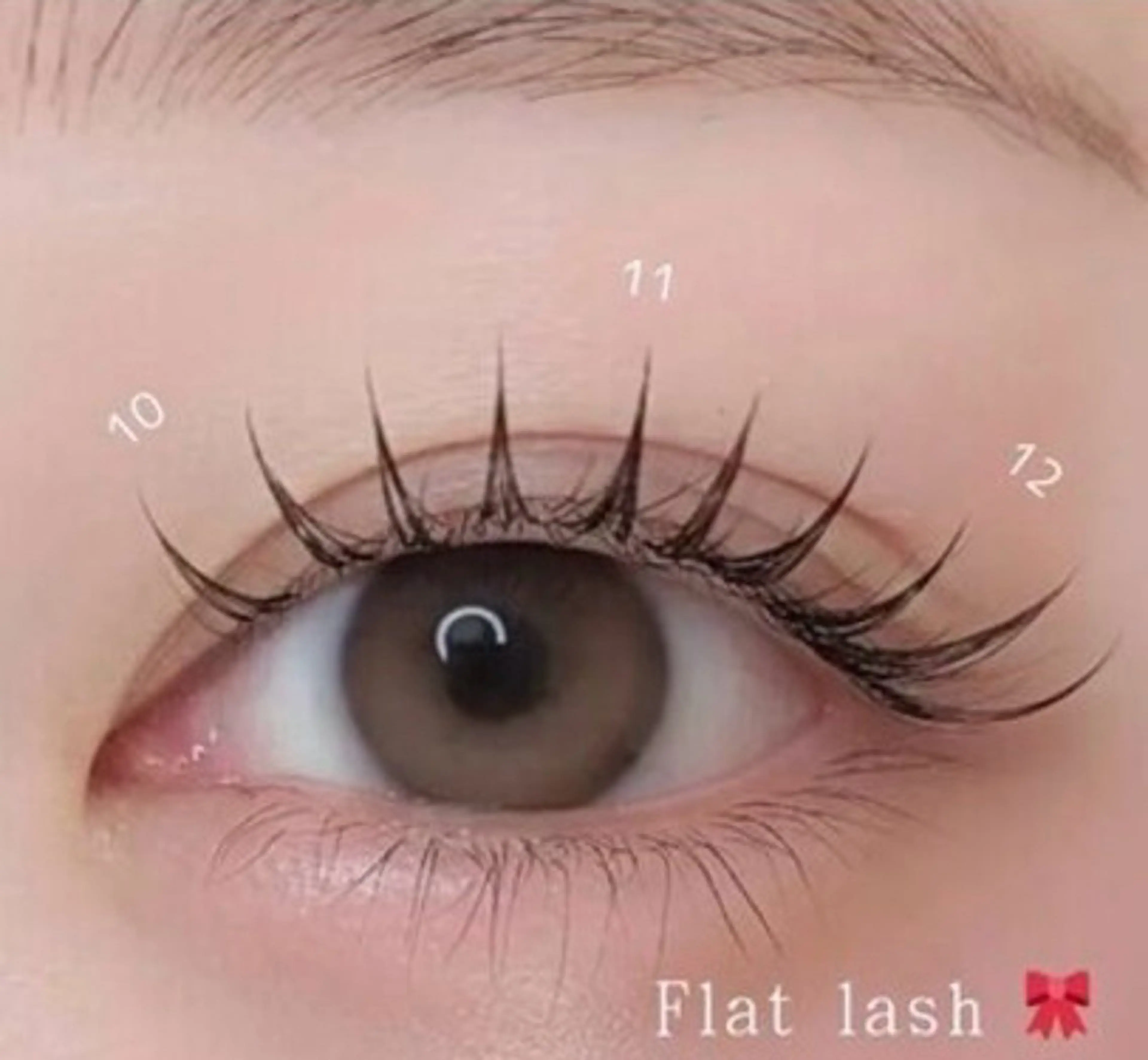 🍋《Open限定価格》マツエク80本🍋（コーティング付き）セーブルorフラット👀の写真
