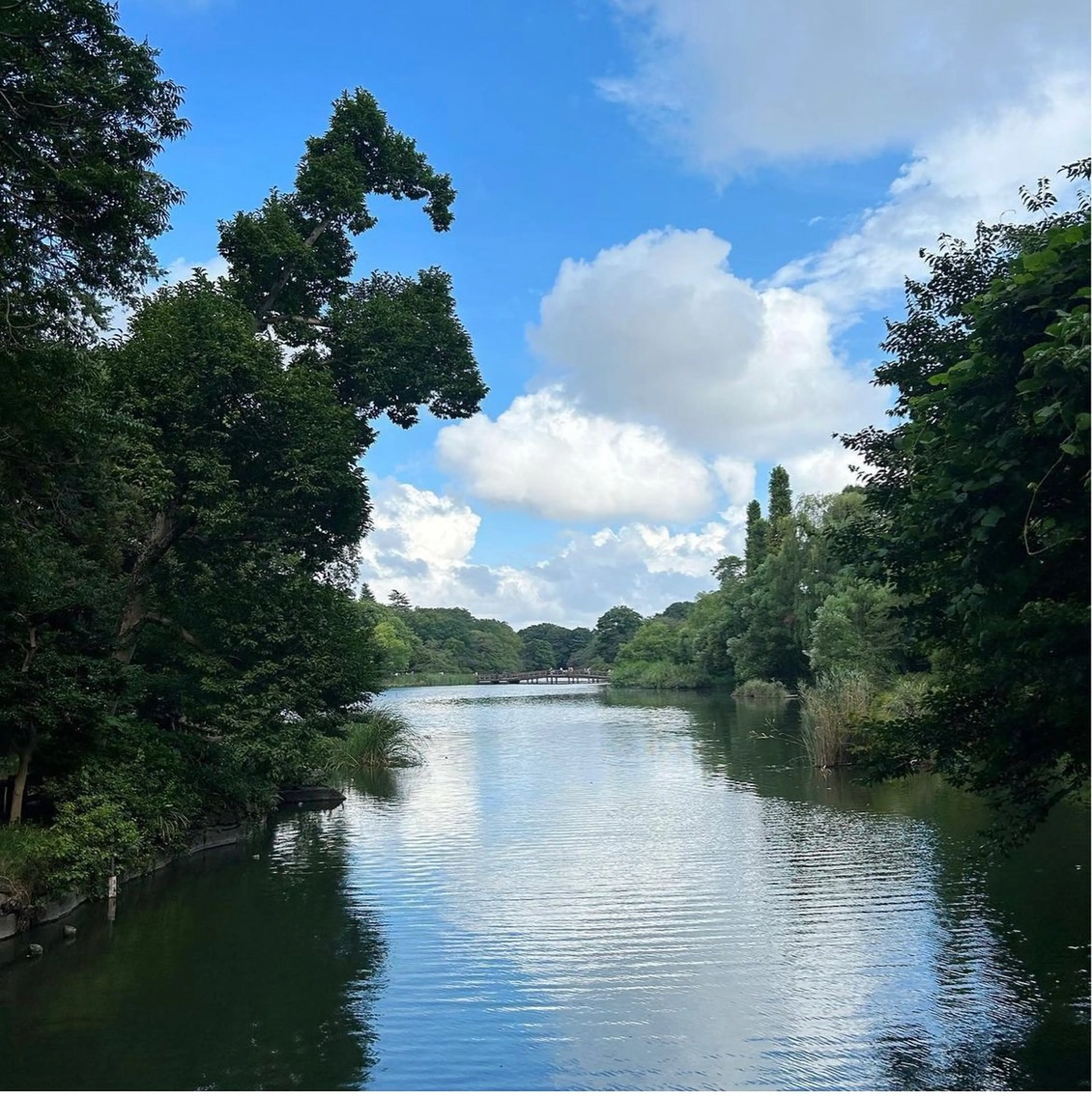 ミディアム カラー パーマ ヘアアレンジ 着付け GOTODAY SHAiRE SALON (原宿本店)所属・stylist 🎀 kanaのその他イメージ