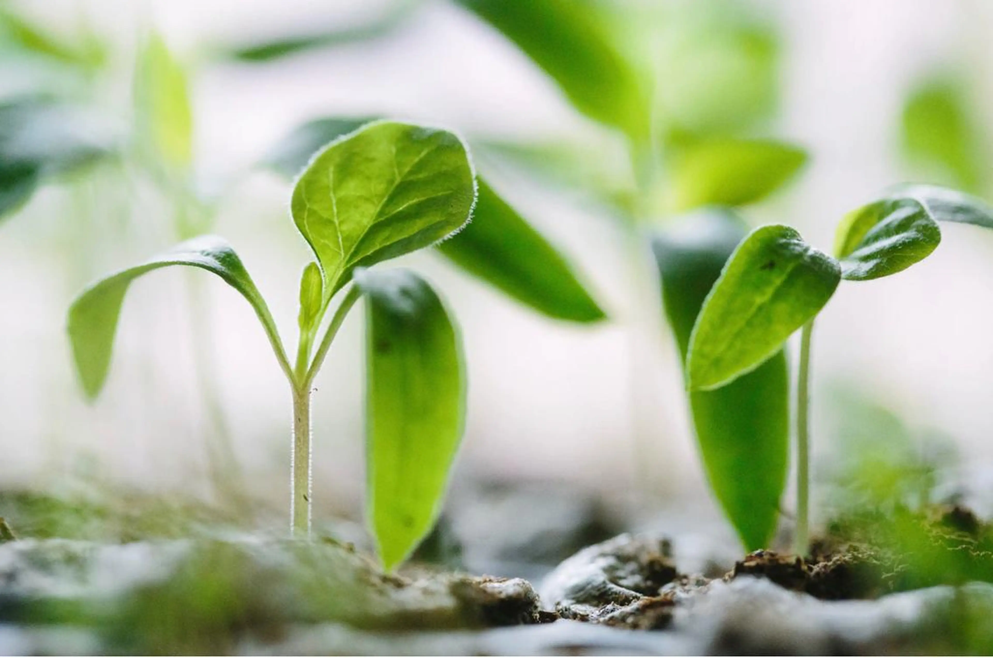 RENsalon大阪 体質改善リトリートのエステ・リラクイメージ