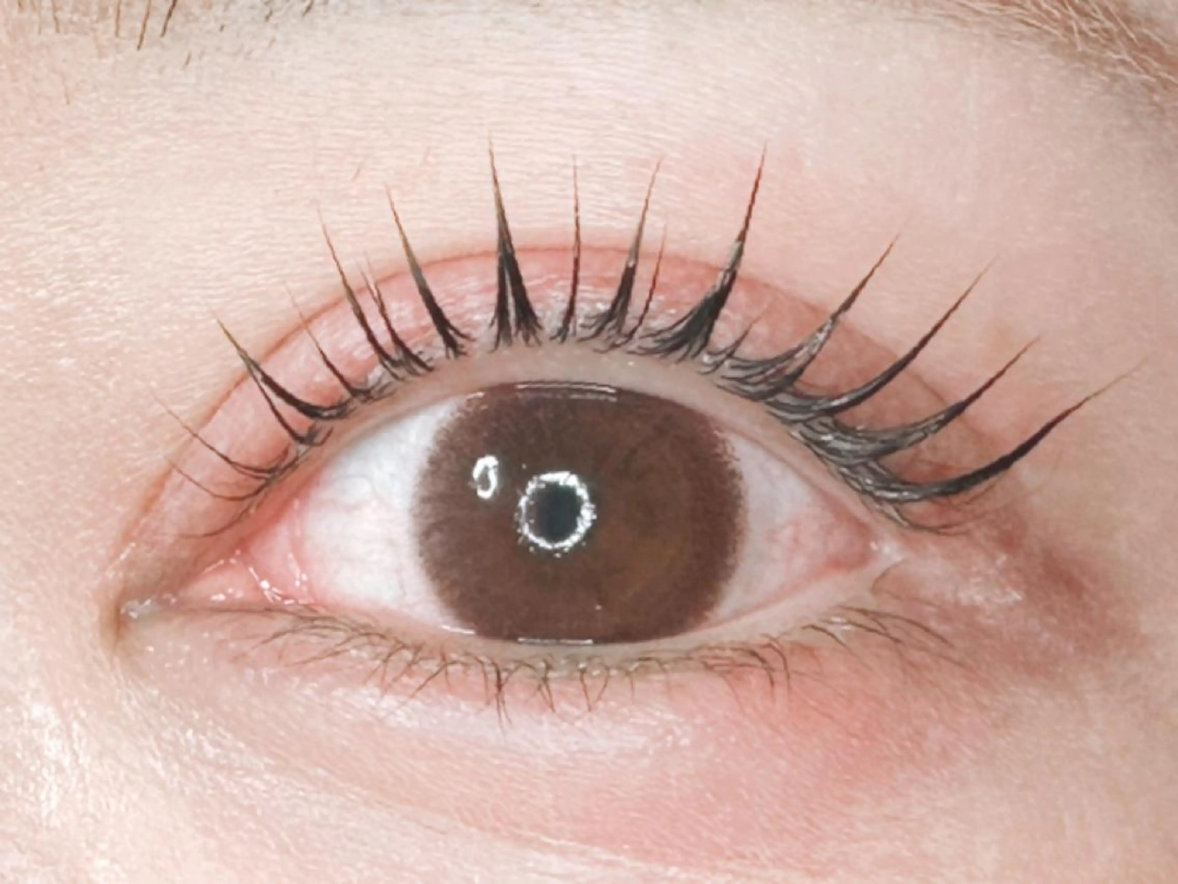 マツエク・マツパ パリジェンヌラッシュリフト 𝐉𝐎𝐋𝐈 アイリスト ❤︎のマツエク・マツパデザイン