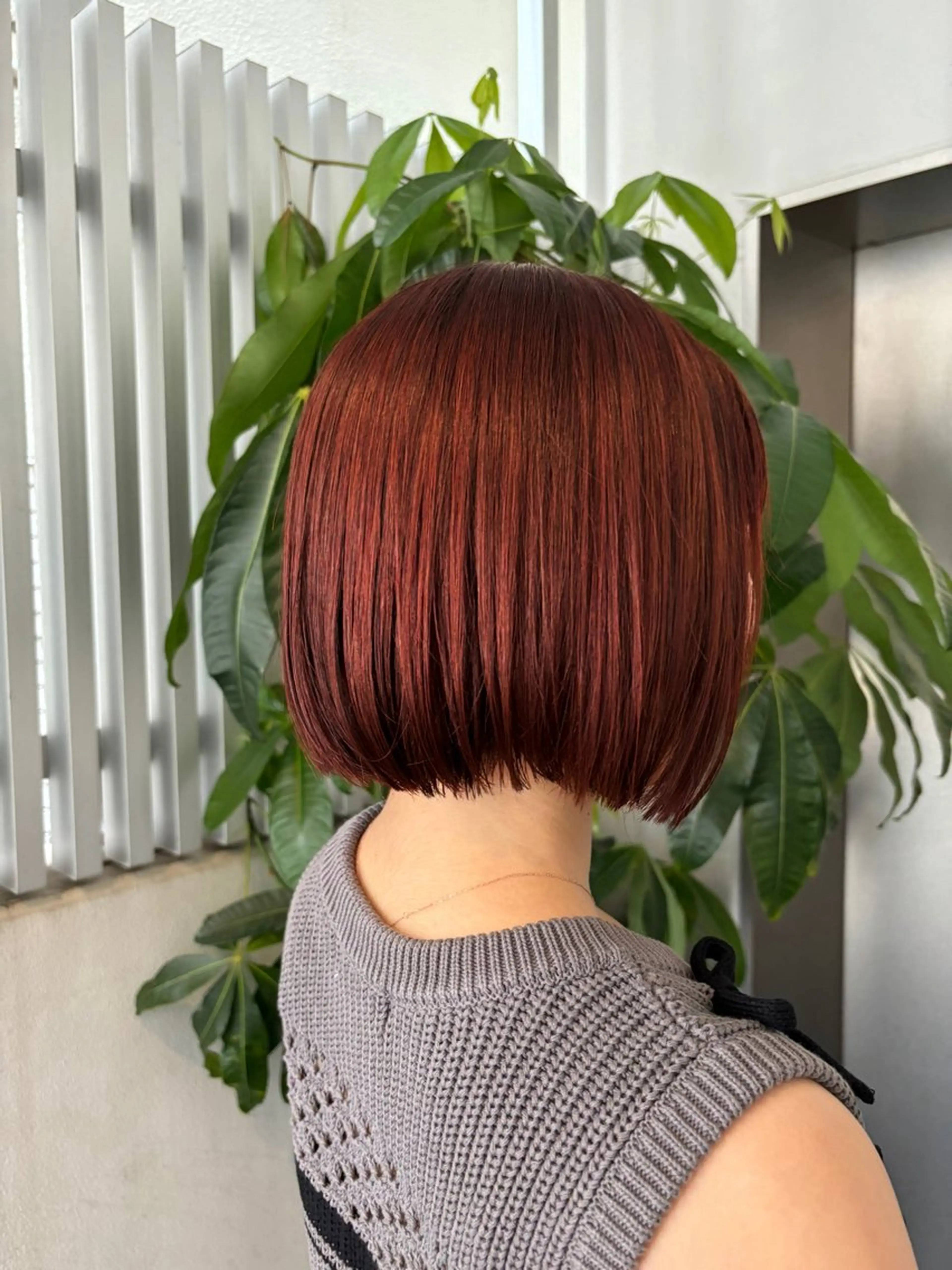 カラー ヘアカラー ウルフカット/パーマ mayo🌛🌀のヘアスタイル