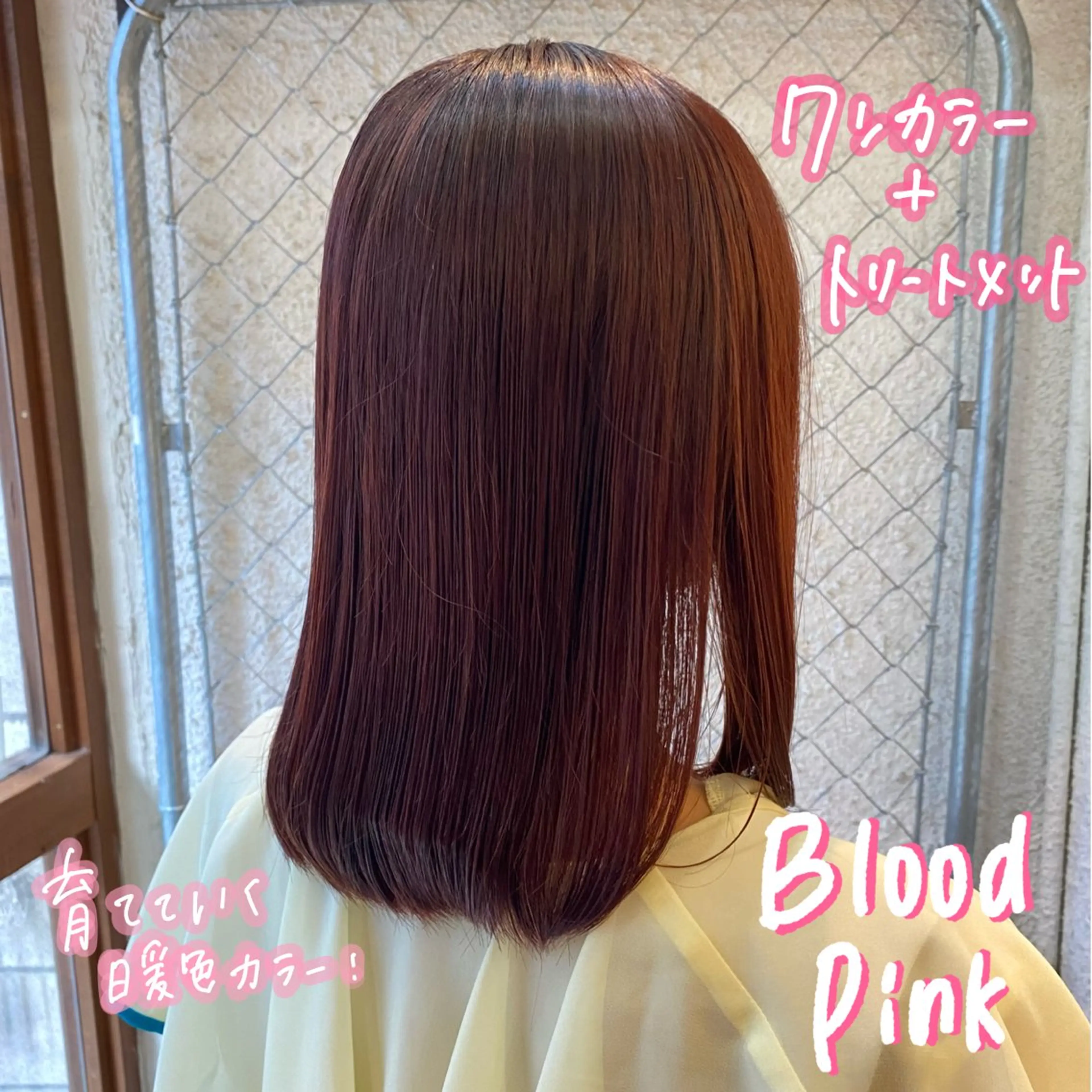 セミロング カラー ヘアカラー トリートメント 暖色艶color / ボブ🦩Rioのヘアスタイル