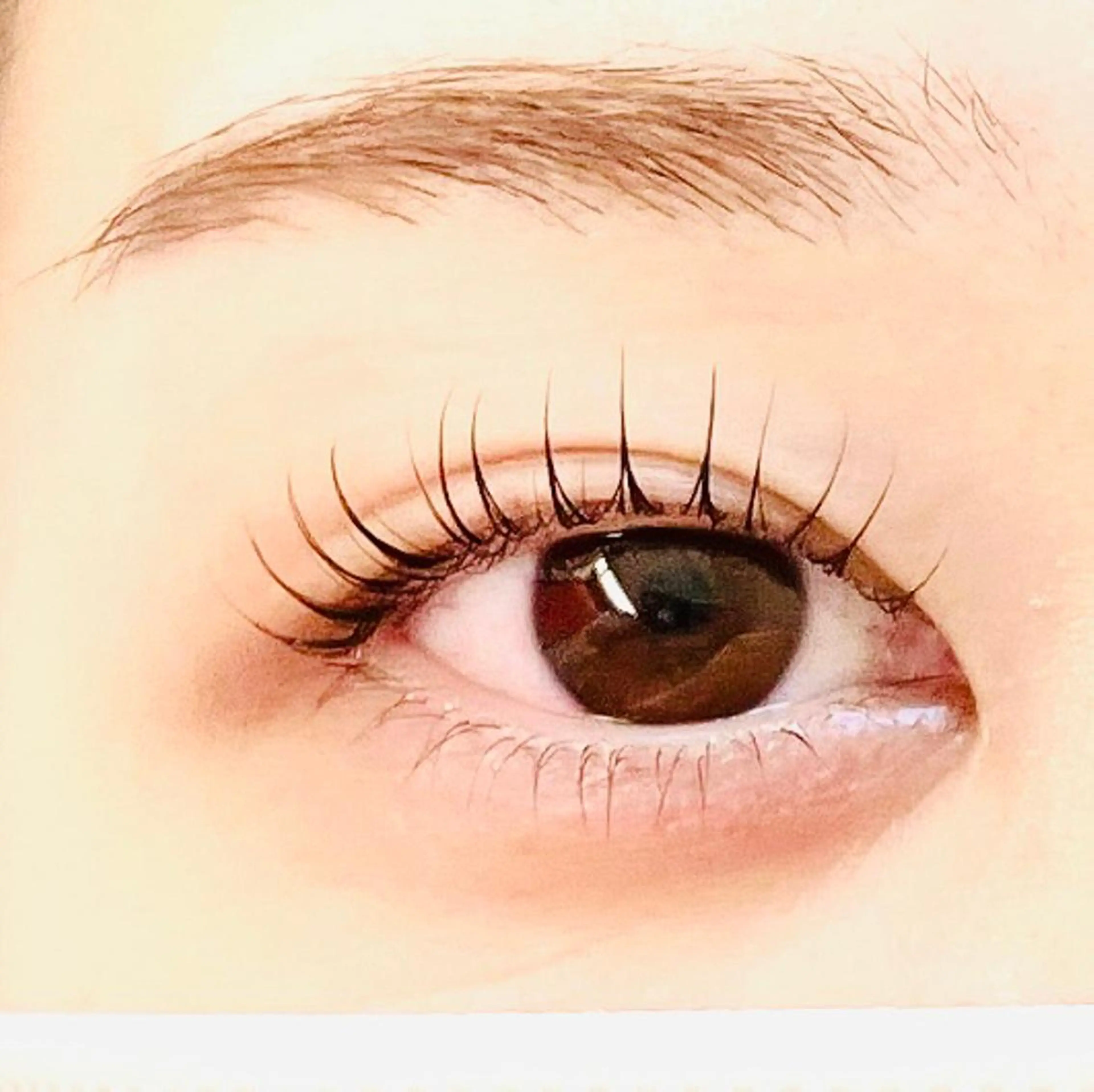 マツエク・マツパ マツパ フジ ワラの眉毛・アイブロウイメージ