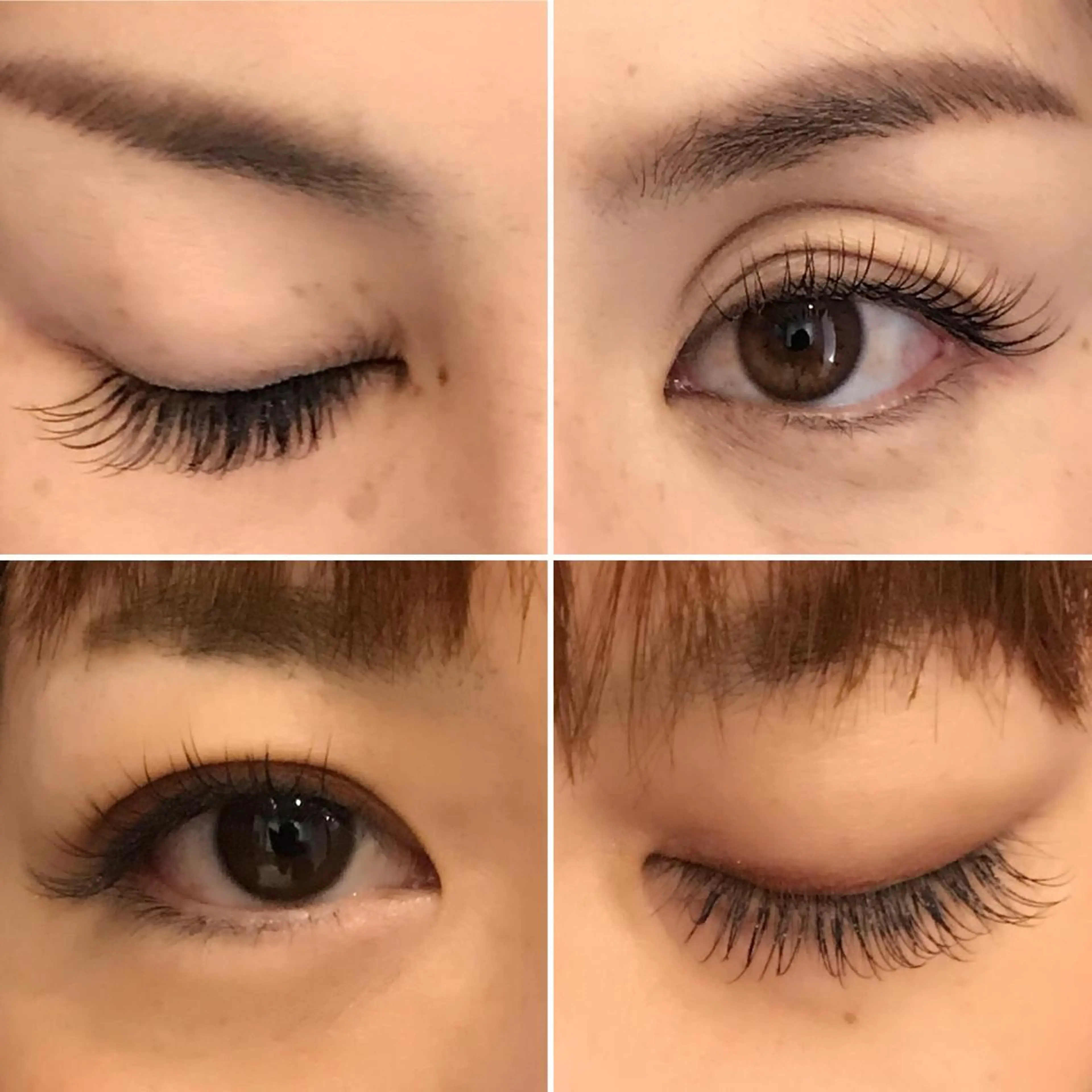 マツエク・マツパ セーブル eight eyelashの眉毛・アイブロウイメージ