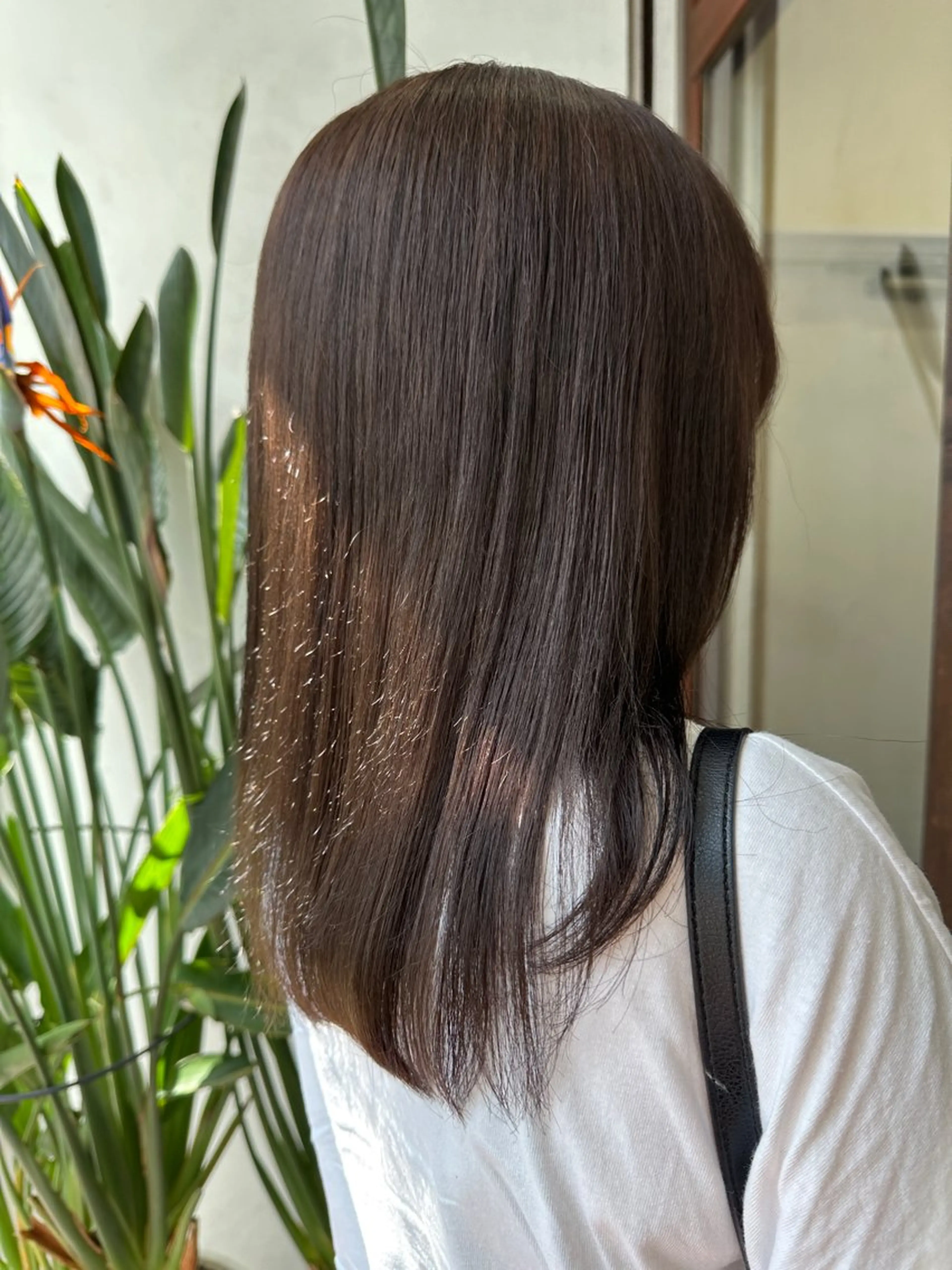 ミディアム カラー ブラウンカラー ナチュラルブラウン オタクアイリスト 🎀🪞山﨑愛菜のマツエク・マツパデザイン