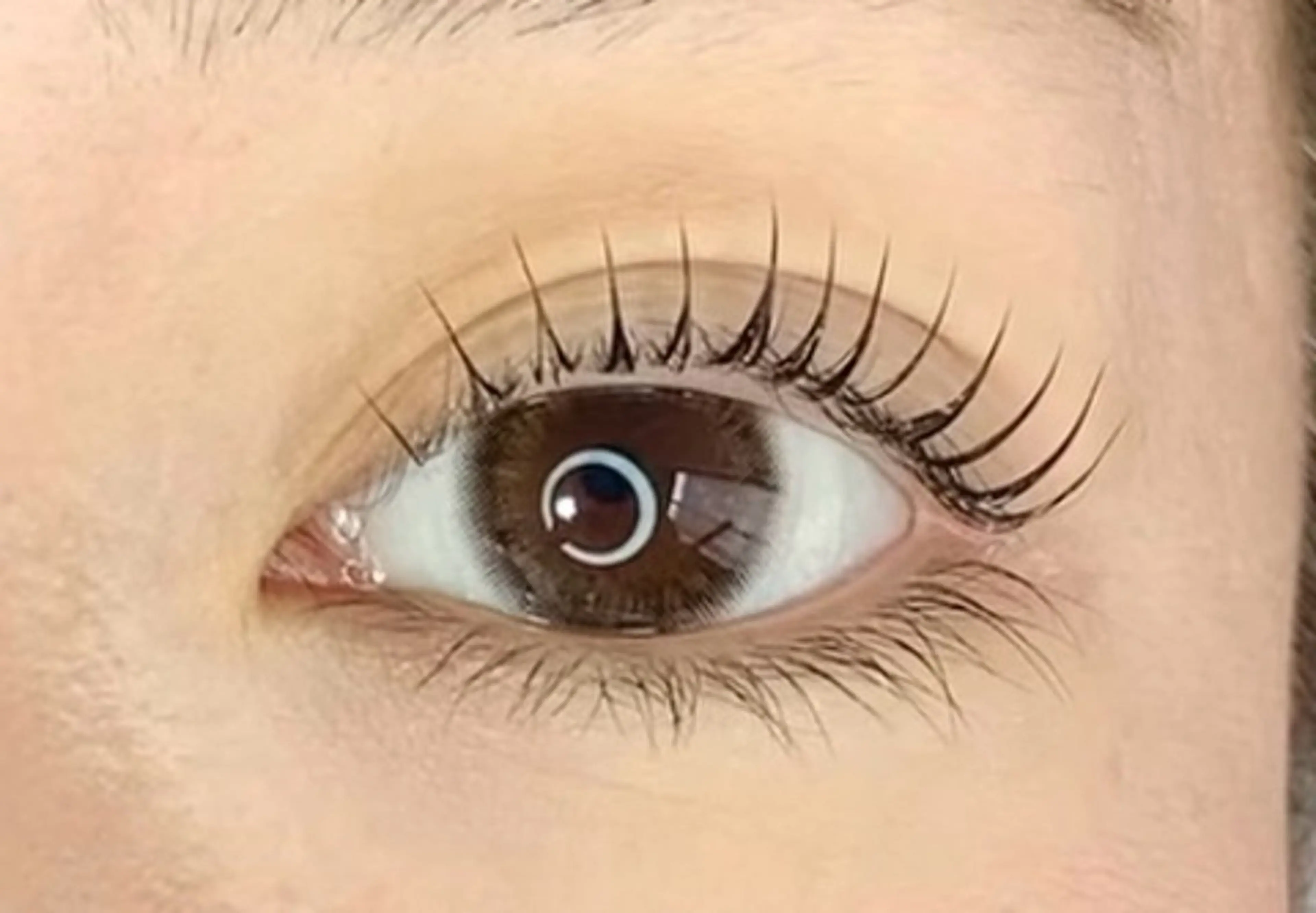 マツエク・マツパ マツパ Eyelash Luaのマツエク・マツパデザイン