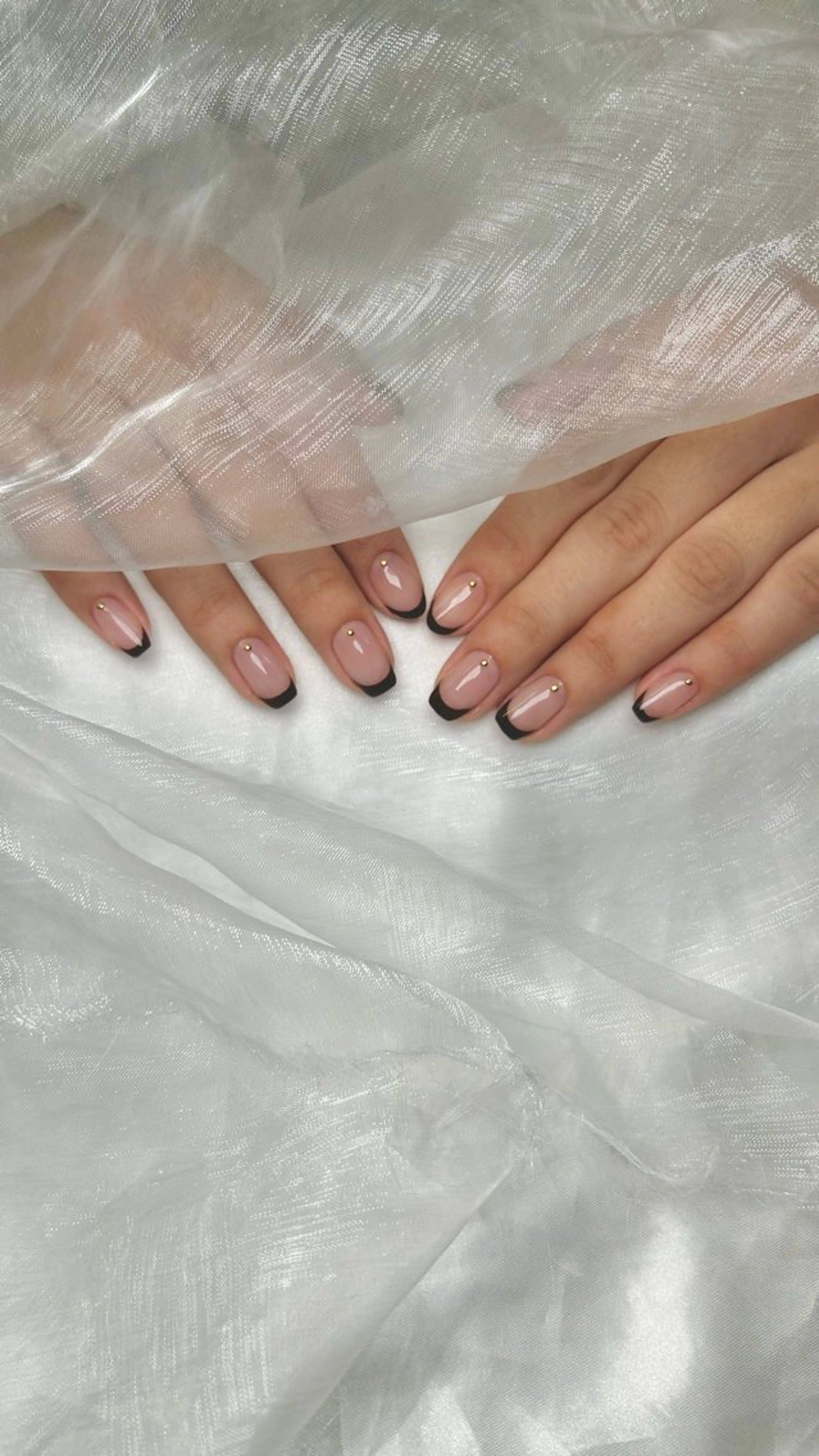 【12/10まで🎀¥2,200✴︎ 1カラー,フレンチお選びいただけます　✴︎】の写真