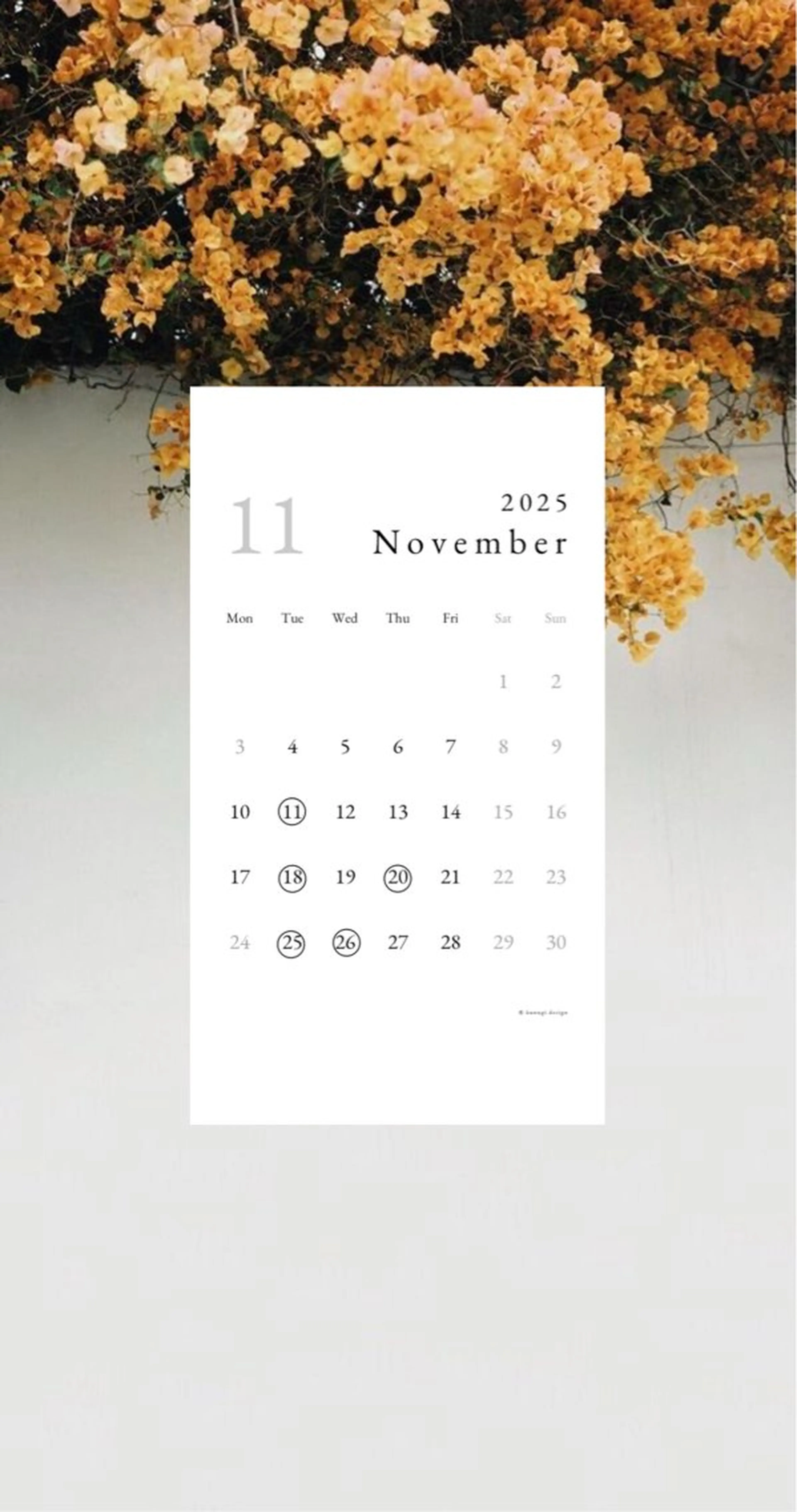 カシータヘア所属・前田 彩花のヘアスタイル