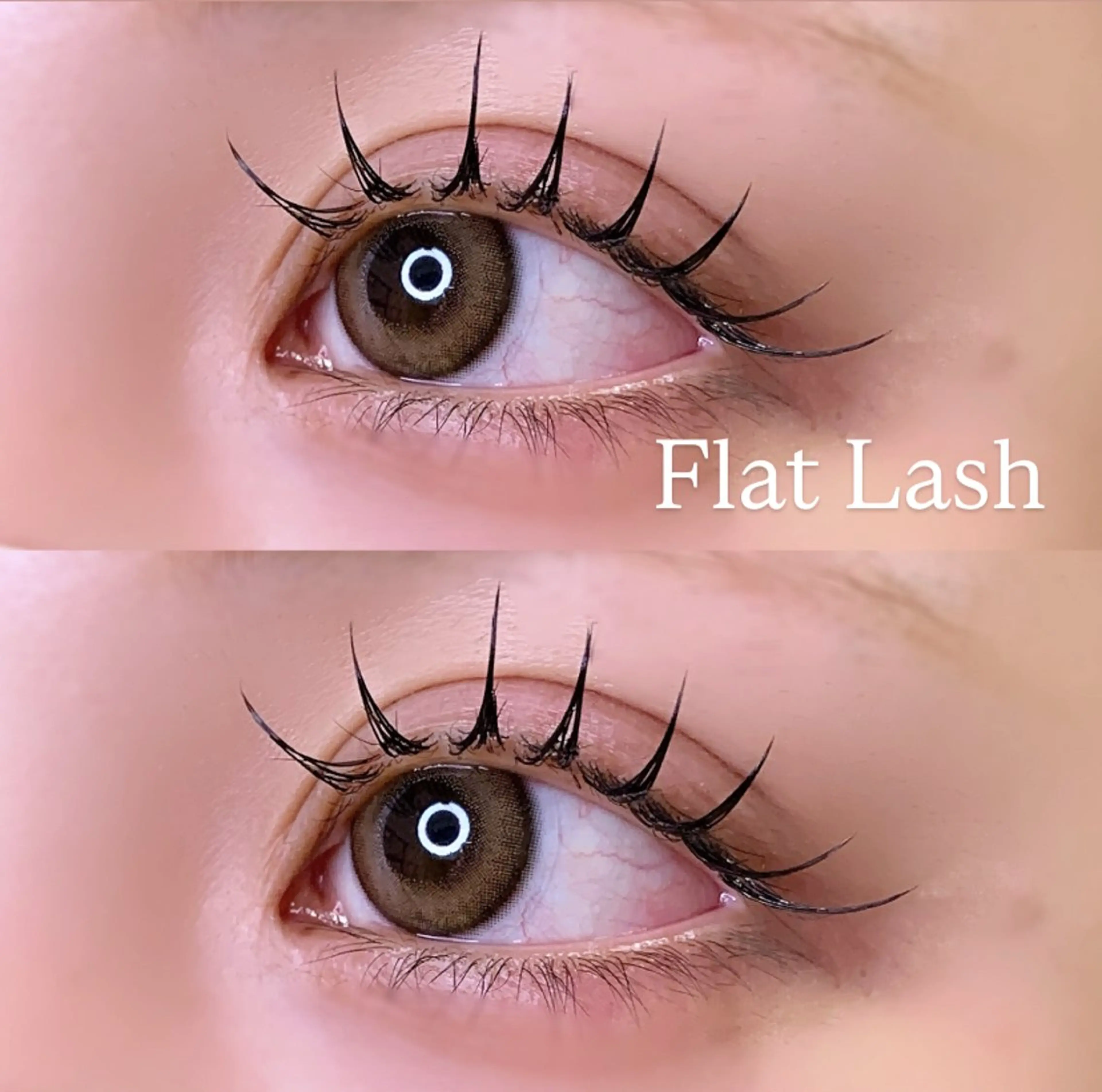 マツエク・マツパ Cカール Dカール フラットラッシュ Jカール マツエク Ayumi.pro 🍆N《4階》のマツエク・マツパデザイン