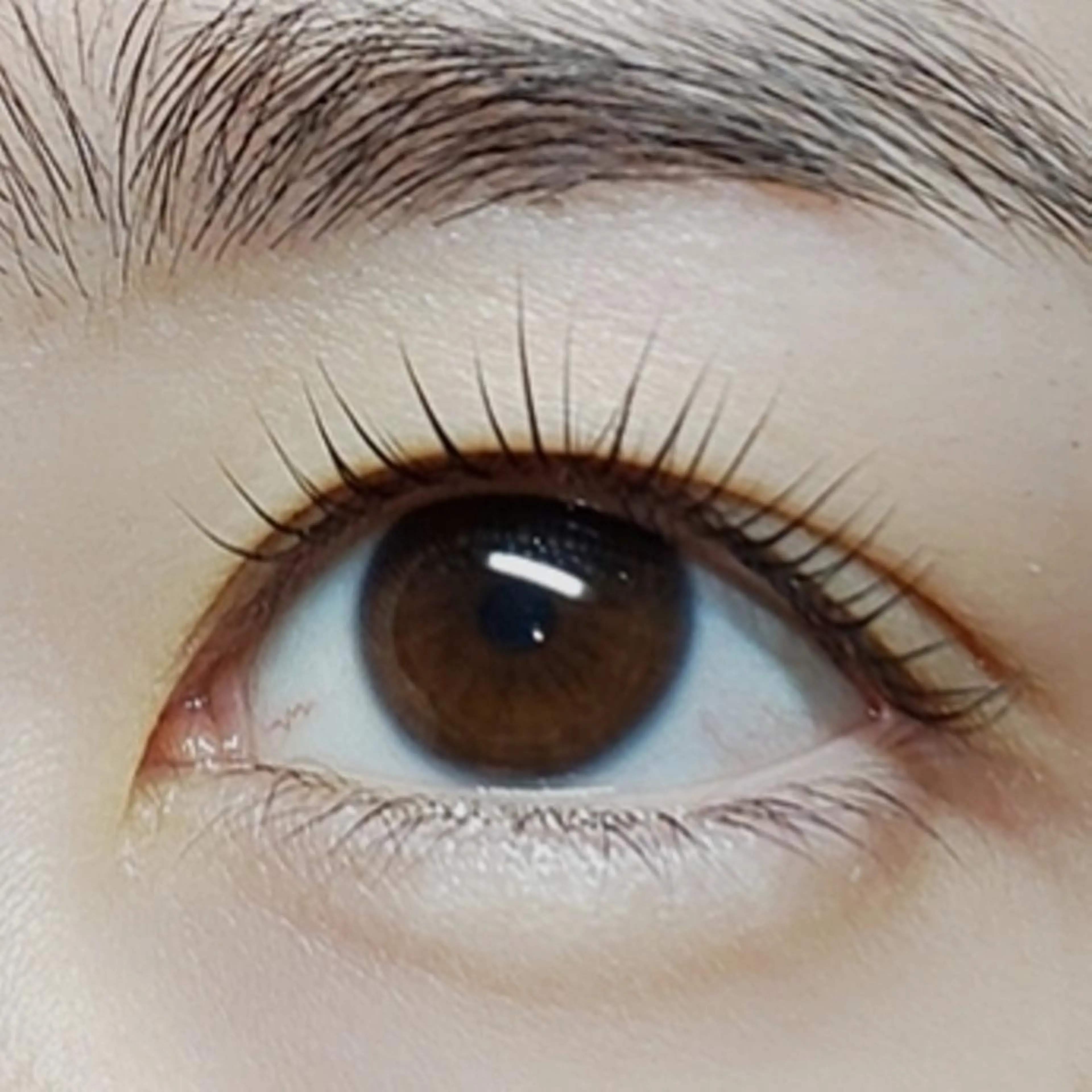 マツエク・マツパ sHeeR【シアー】 ハマナカのマツエク・マツパデザイン