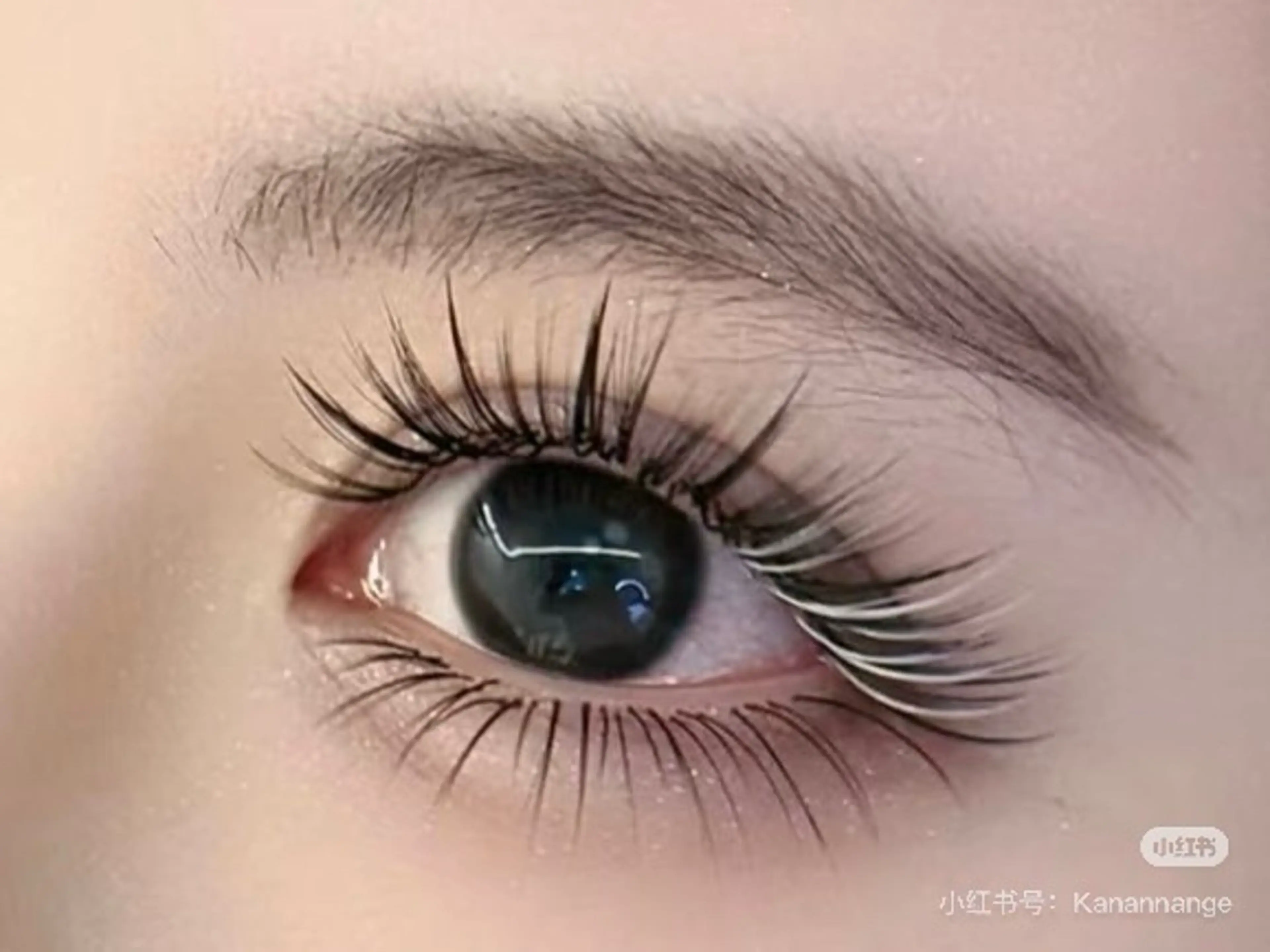 カラー 晴 海のマツエク・マツパデザイン