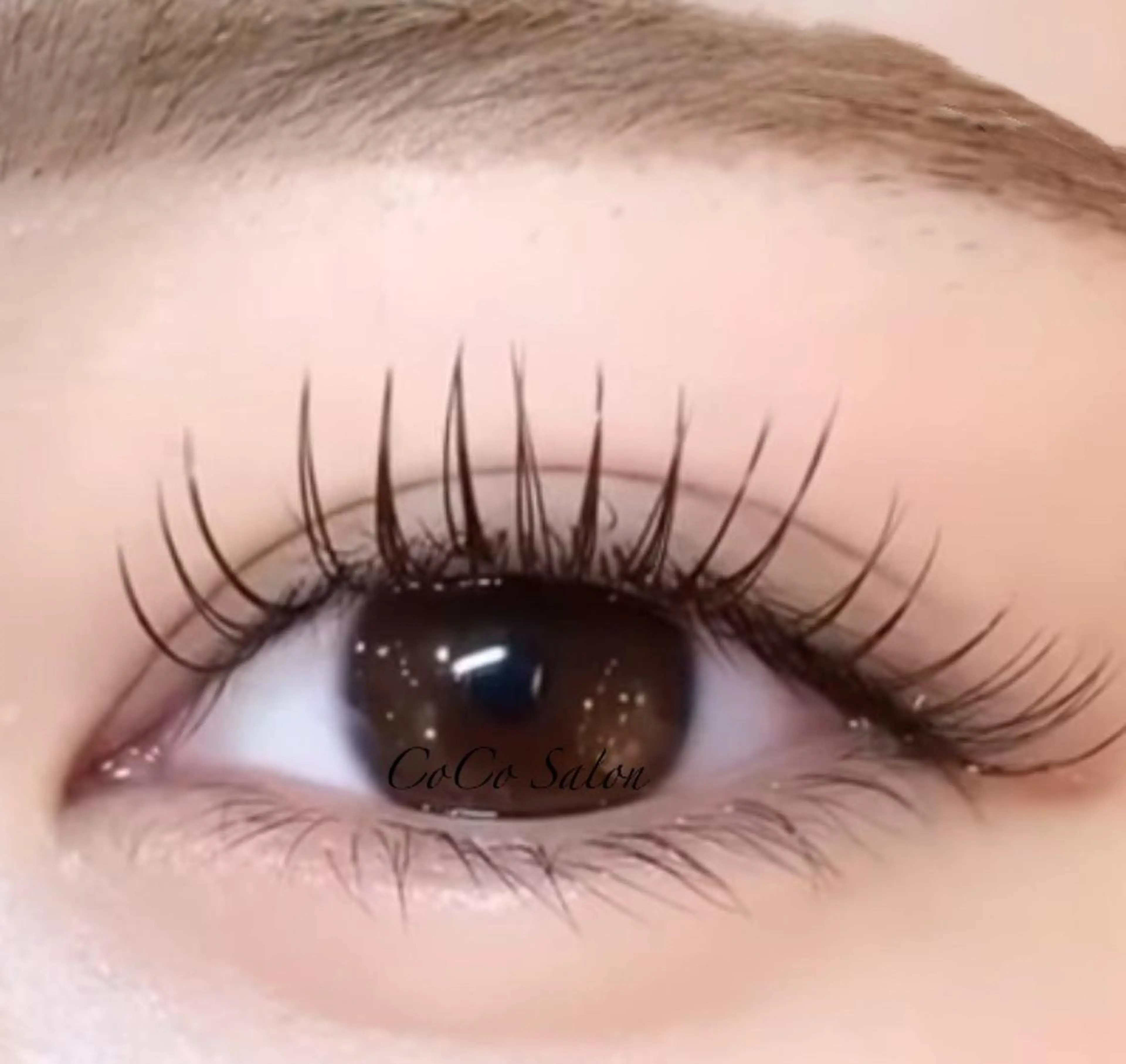 マツエク・マツパ キュート Dカール マツエク CoCoSalon ネイル/まつ毛予約のネイルデザイン