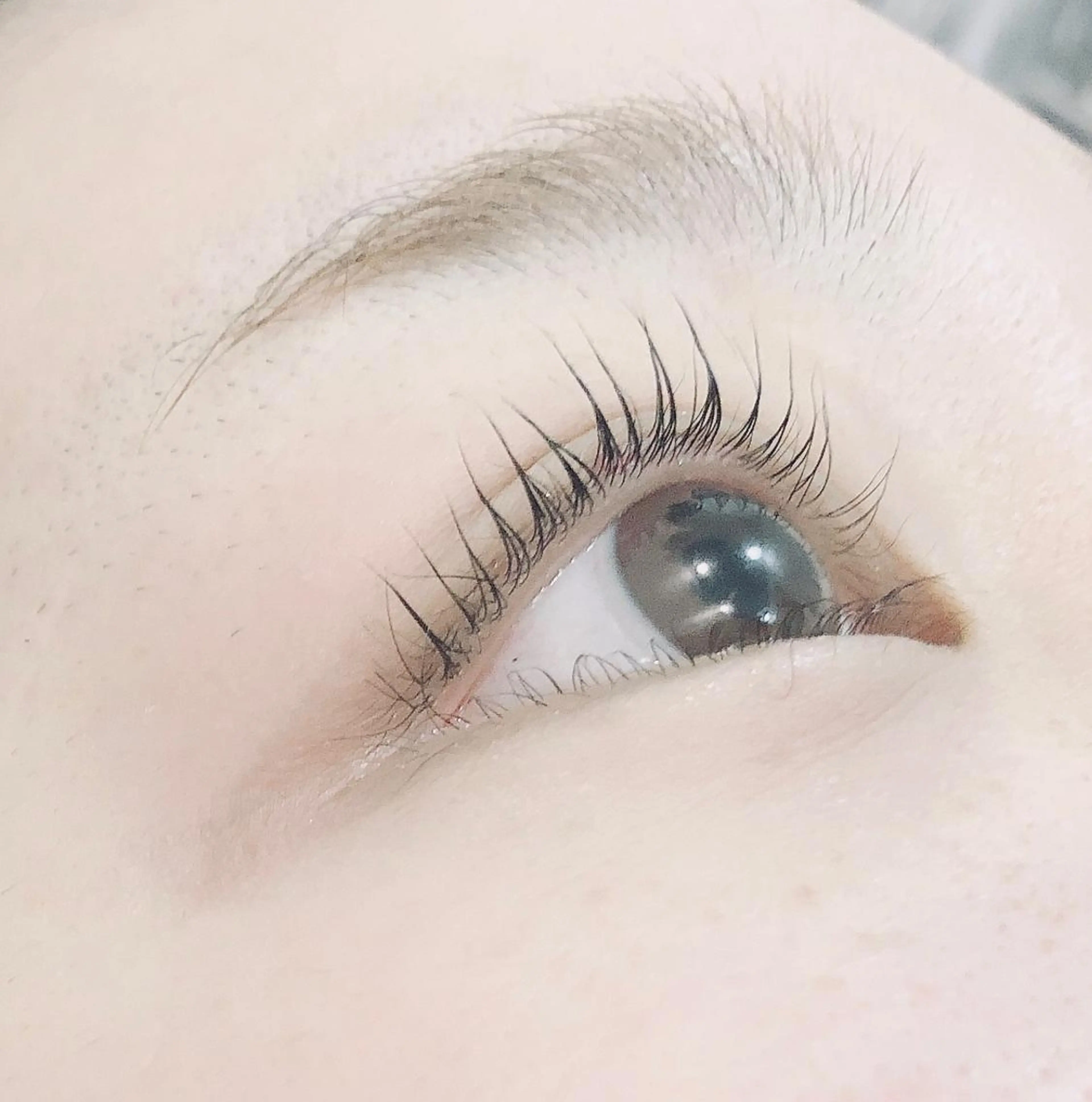 マツエク・マツパ マツパ プライベートサロン ココルのマツエク・マツパデザイン