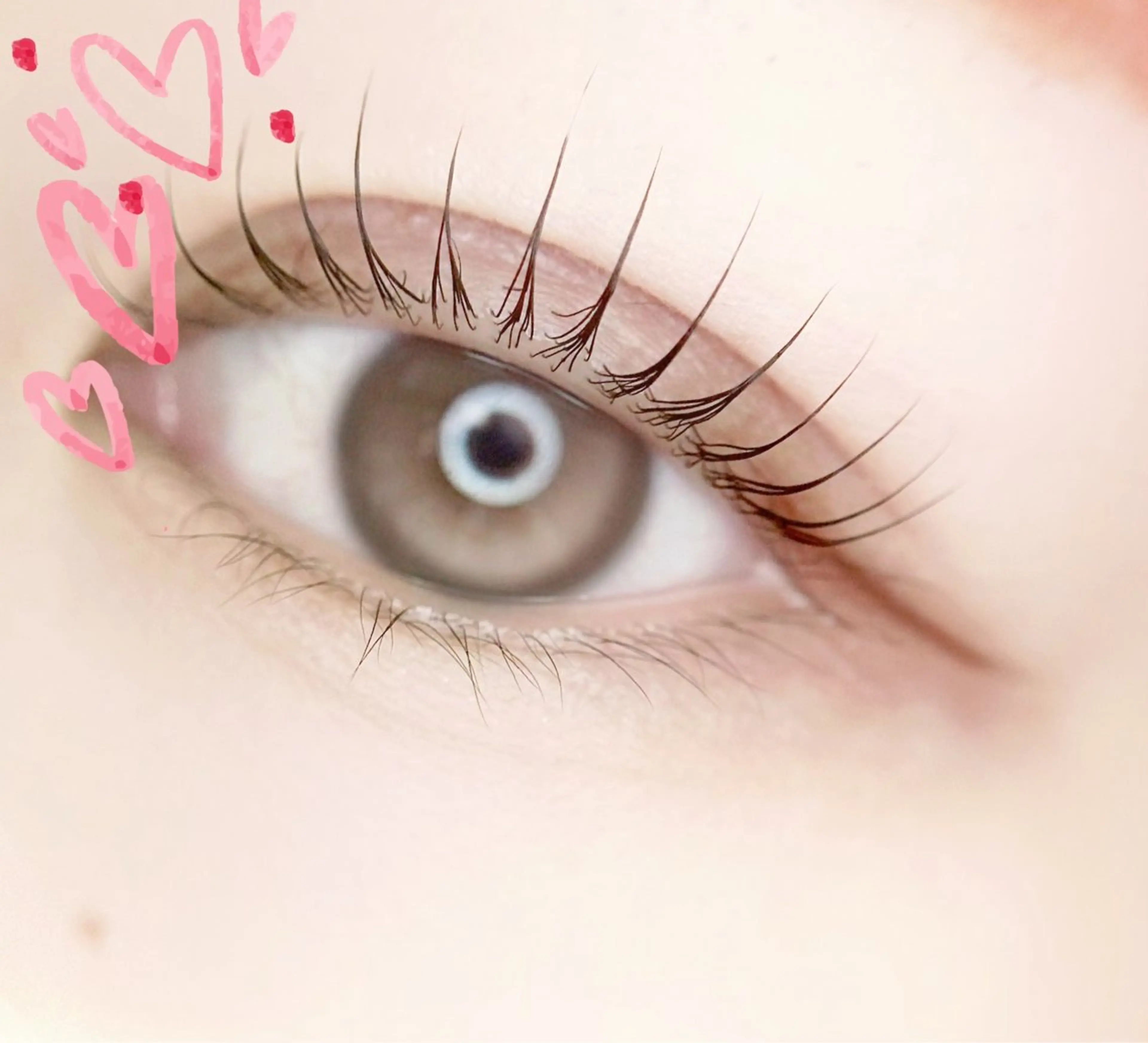 マツエク・マツパ マツパ eyelist. mizuki🐈‍⬛の眉毛・アイブロウイメージ