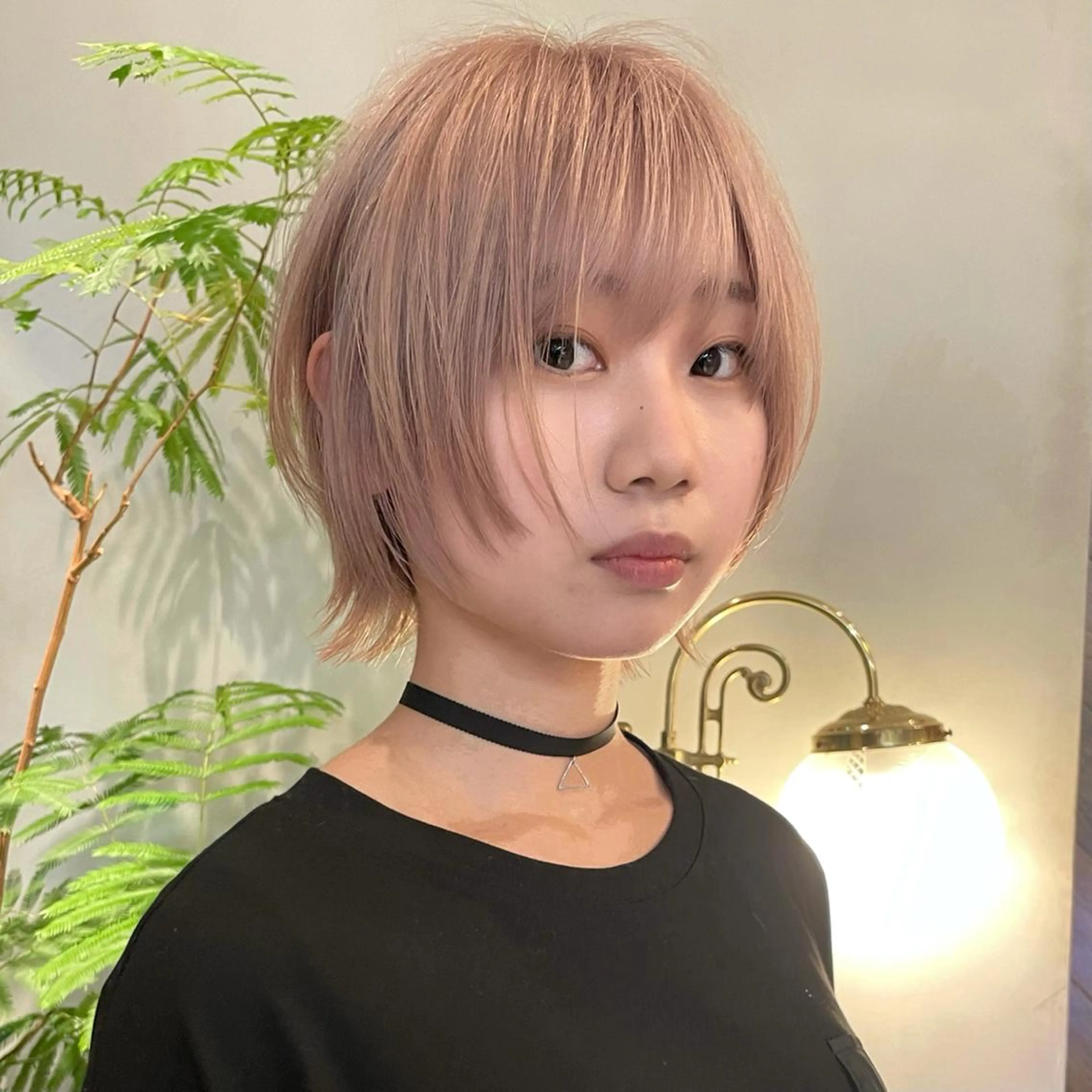 新規限定✂︎カット＋4stepトリートメント✂︎#マッシュショート#ウルフカット#レイヤーカット#ミディアム#顔周りの写真
