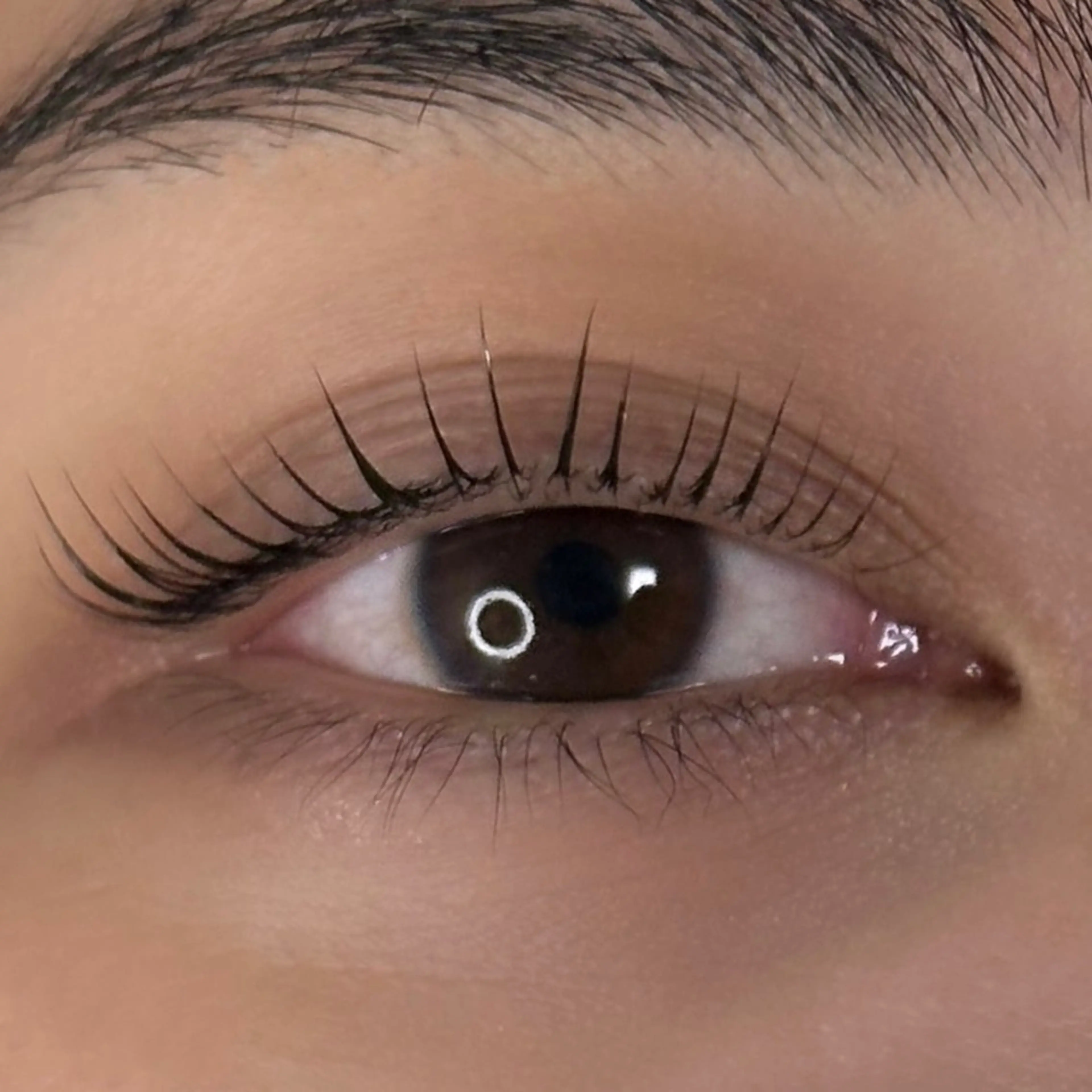 マツエク・マツパ マツパ OKIKA所属・【OKIKA】 らん🦖🌈🧡のマツエク・マツパデザイン