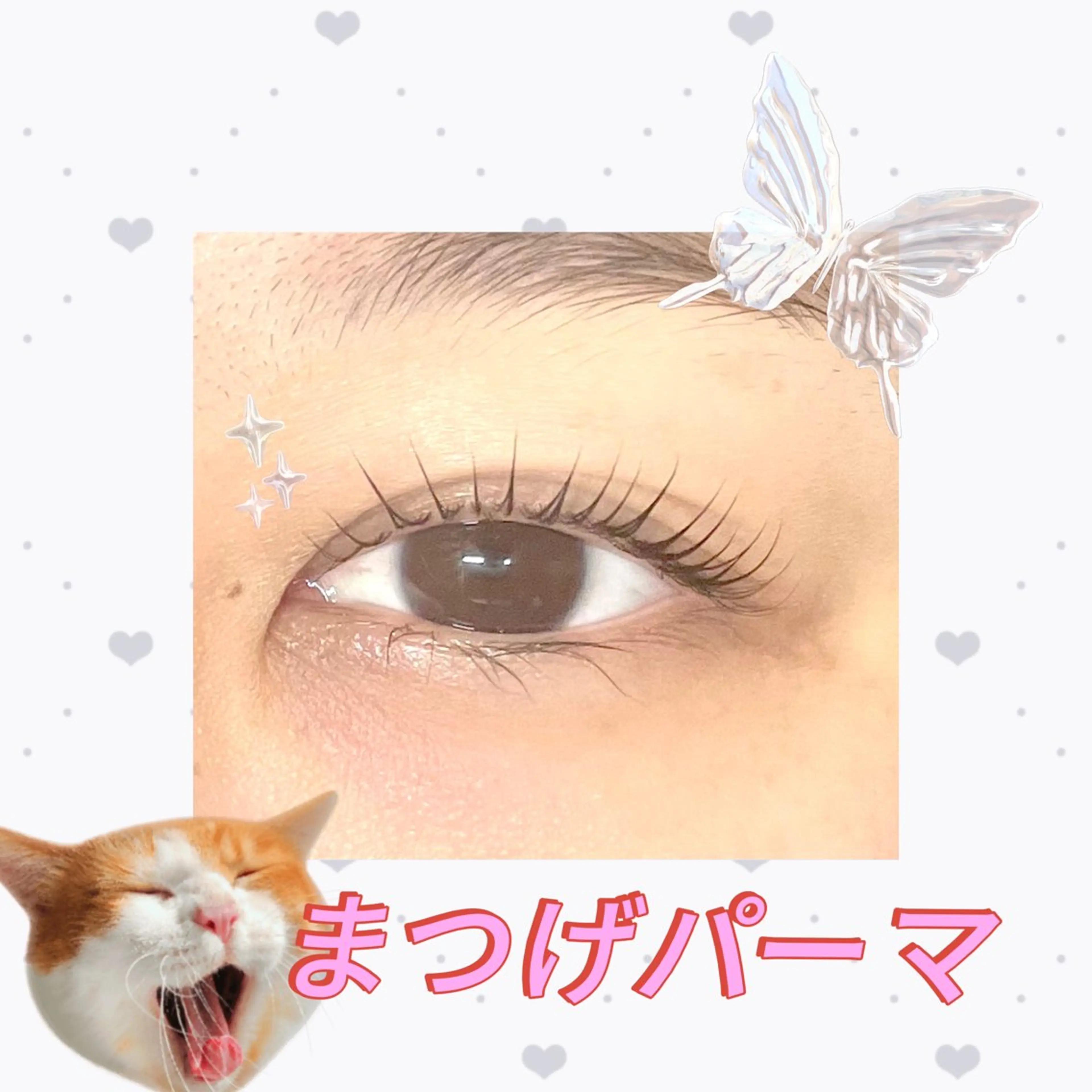まつ毛パーマ🎀艶トリートメント付き🧸の写真