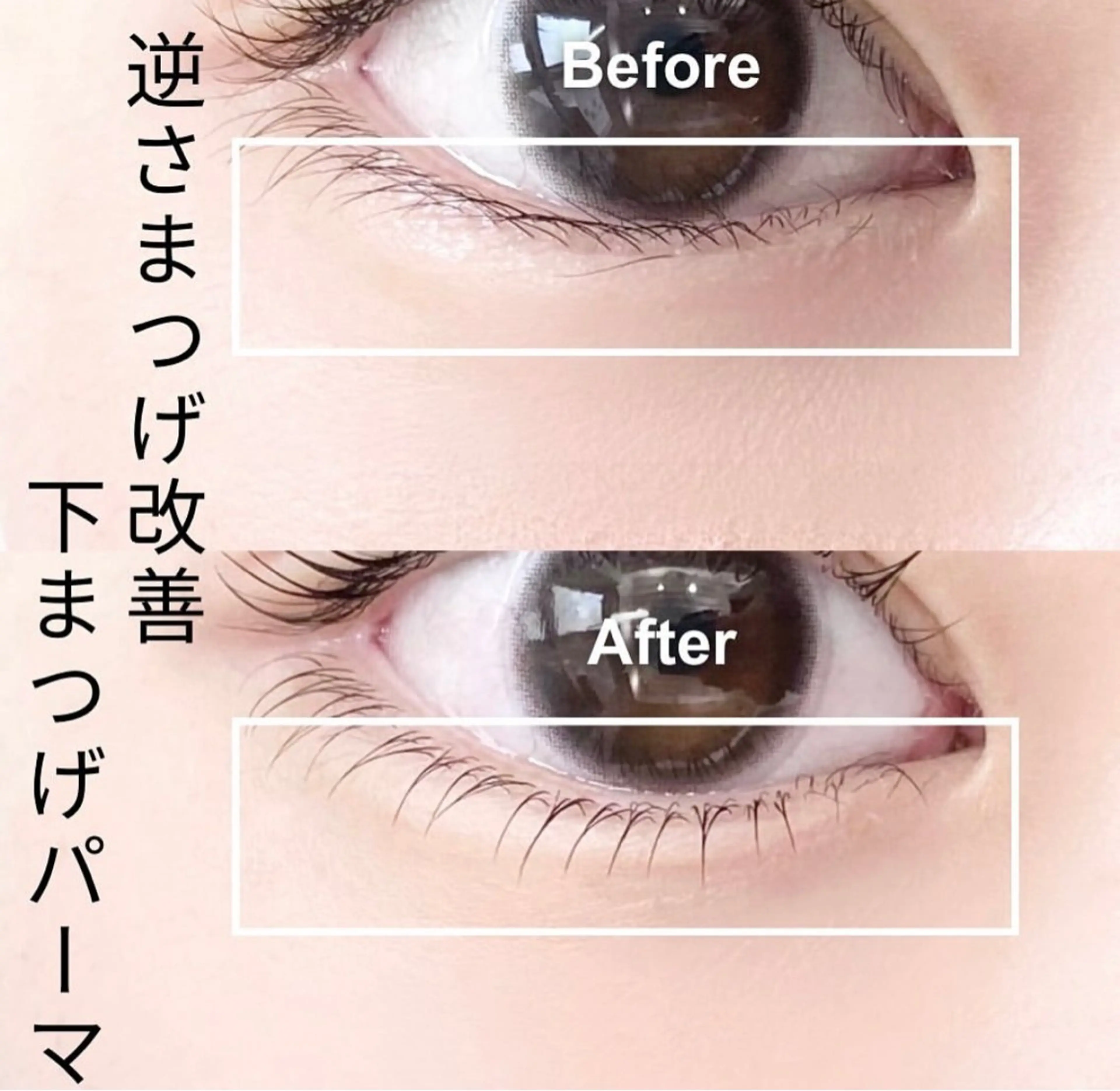 🪄下まつげ矯正パーマの写真