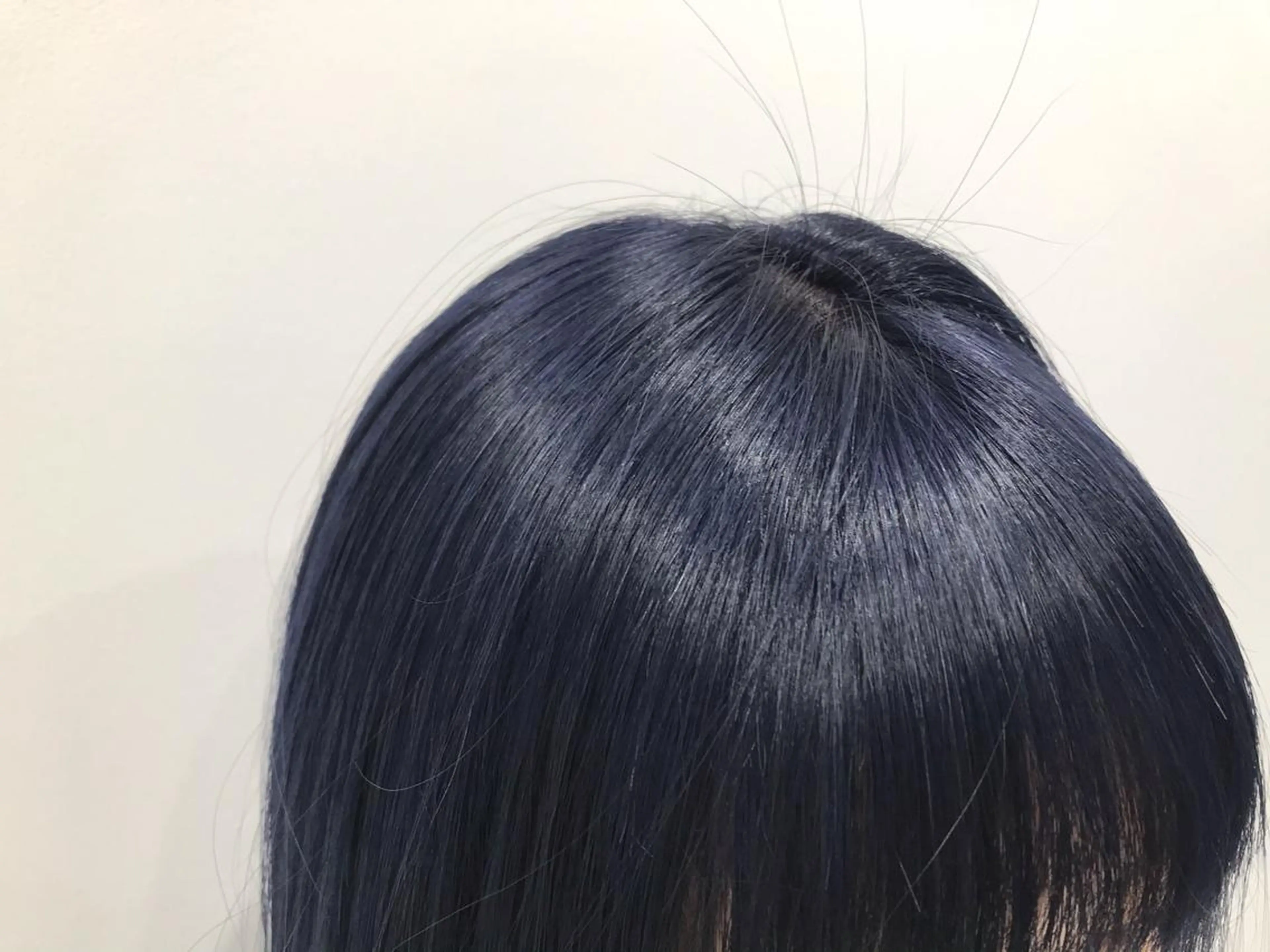 ロング カラー ヘアアレンジ ブルーカラー ネイビーカラー 特別モデル価格 タカシマイッセイのヘアスタイル