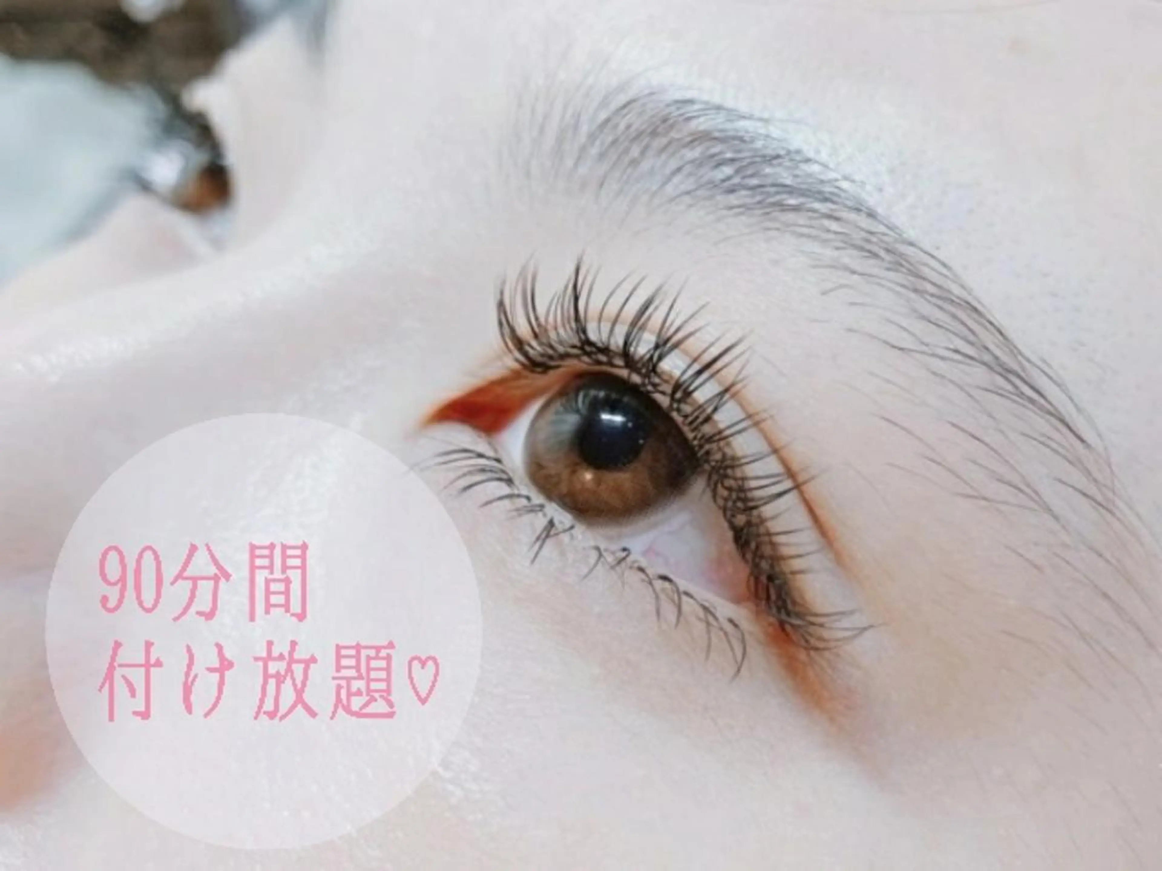 🌼8/26.27限定🌼フラットラッシュ上下９０分つけ放題✨リピーター様＋550円の写真