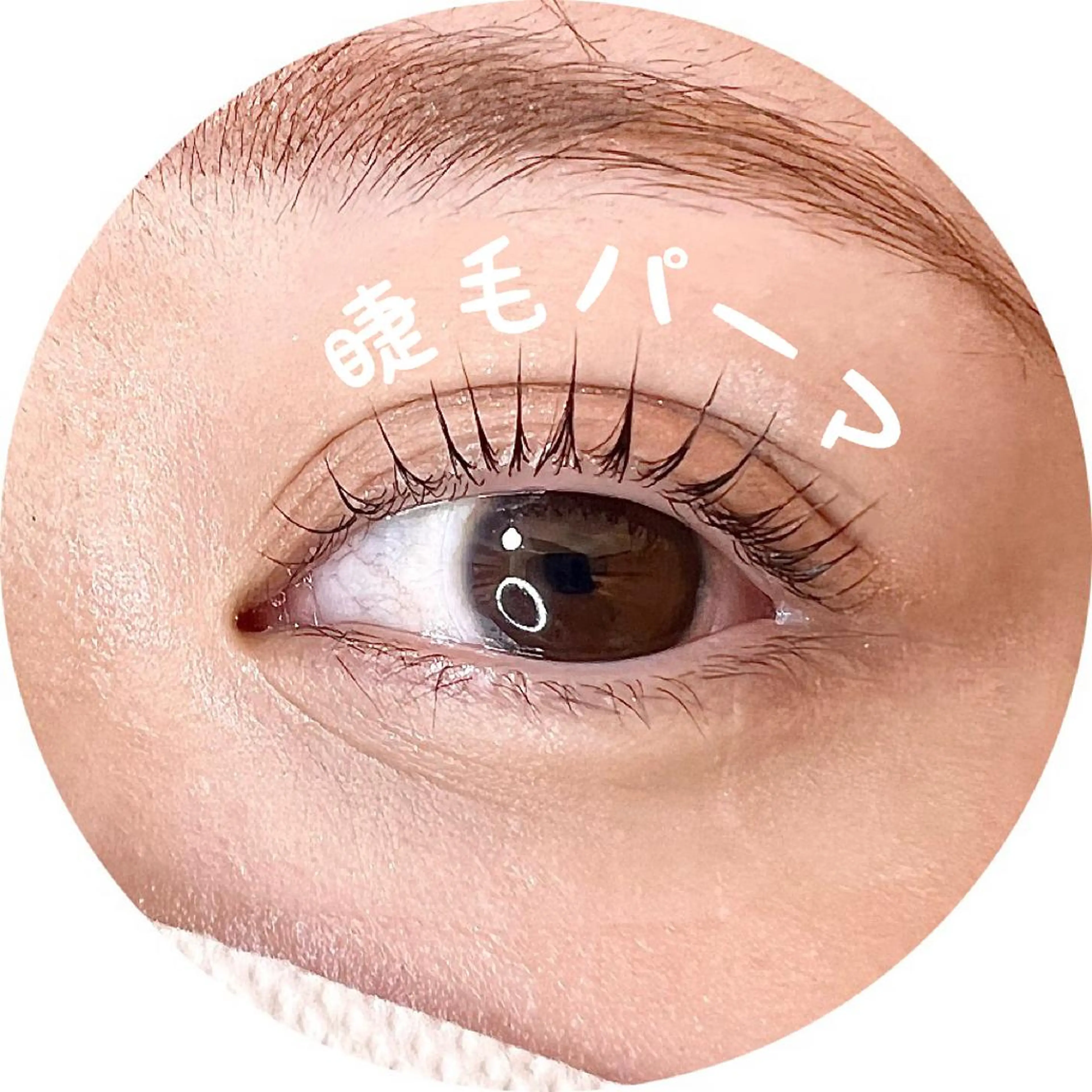 マツエク・マツパ 束感まつ毛 マツパ HAYASHI💗 日常に楽で盛れるを♪のマツエク・マツパデザイン