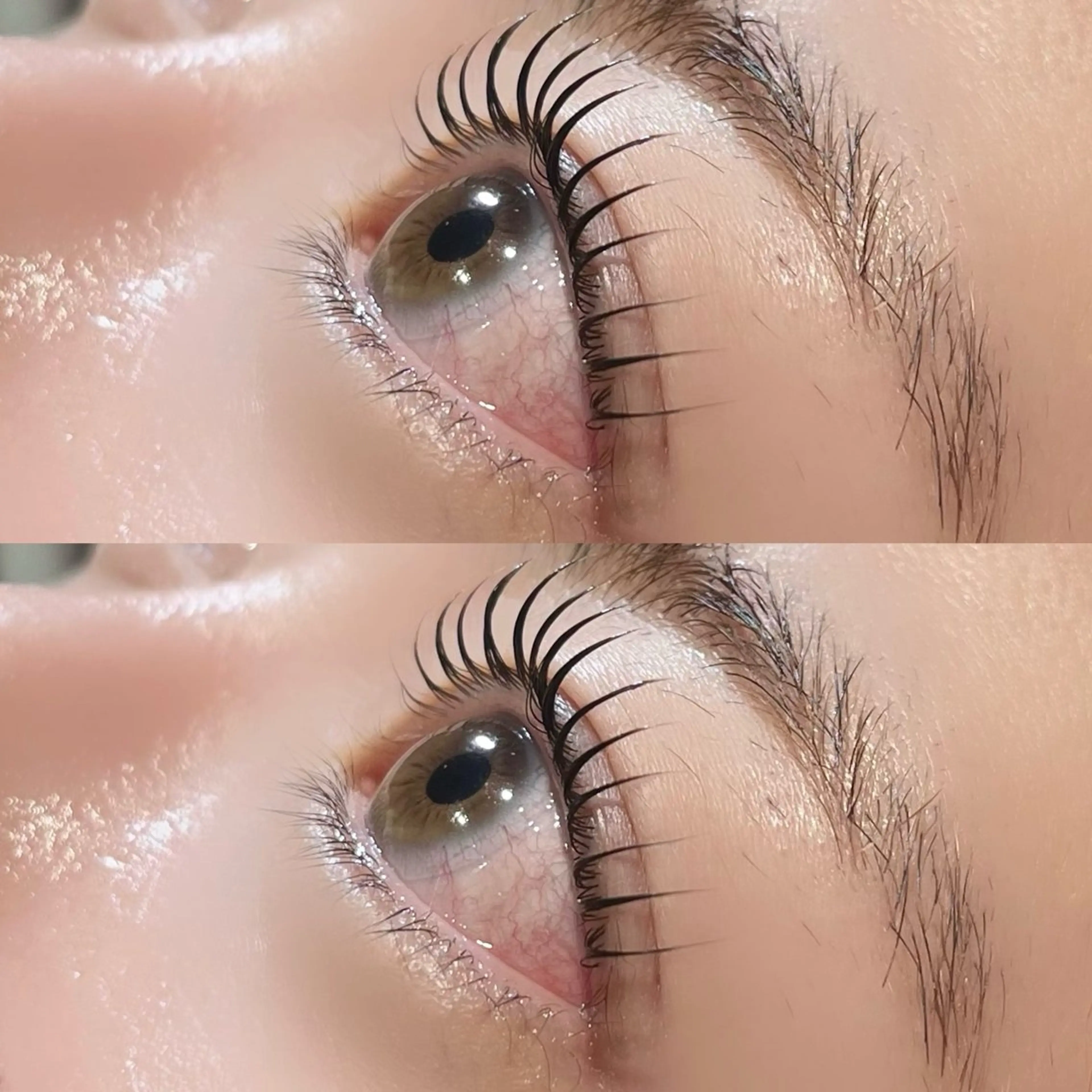 ใใใจใฏใปใใใ ๐๐๐๐๐ ๆ่ฑใฎใใใจใฏใปใใใใใถใคใณ