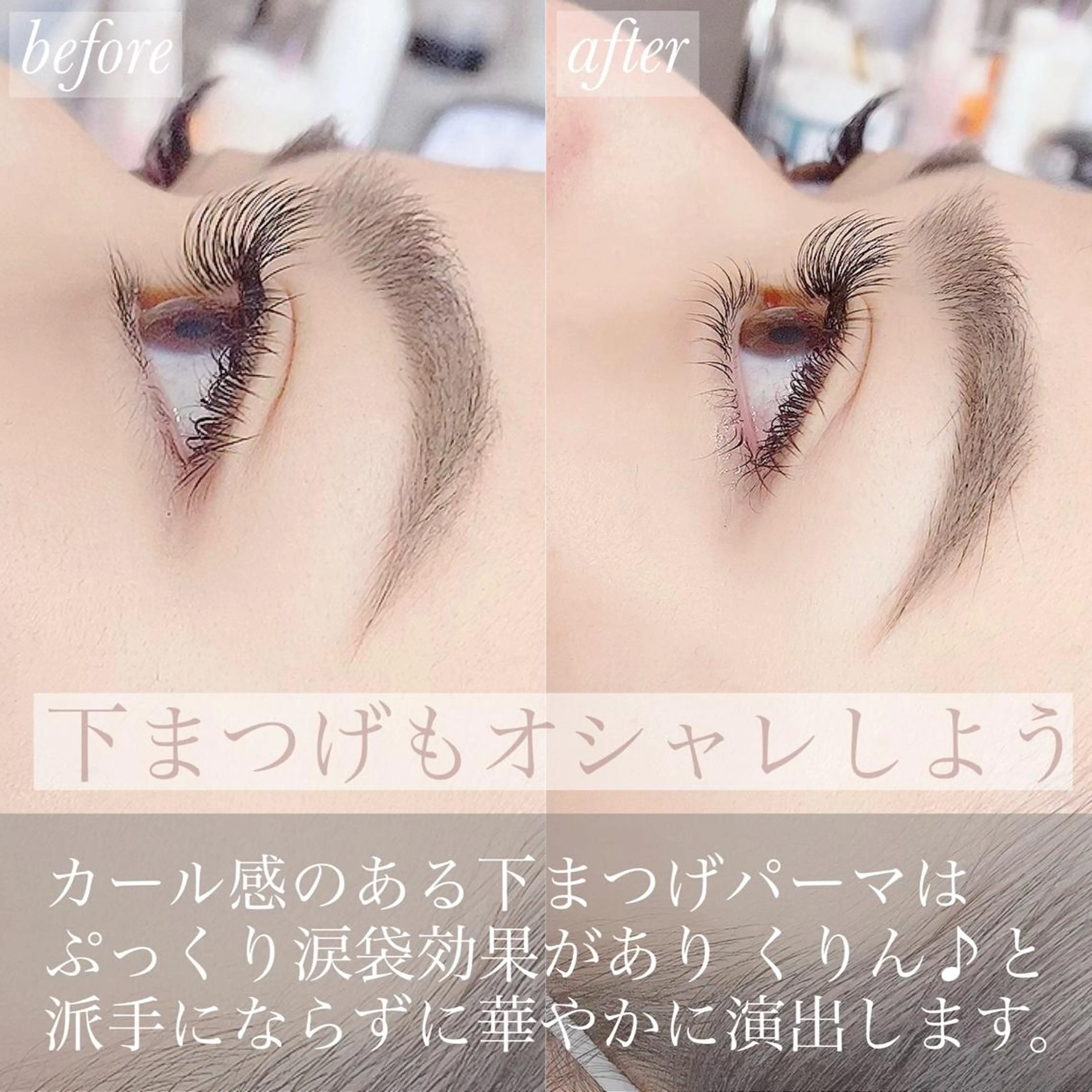 マツエク・マツパ まつげパーマ 下まつげエクステ EYELASH FAVのマツエク・マツパデザイン