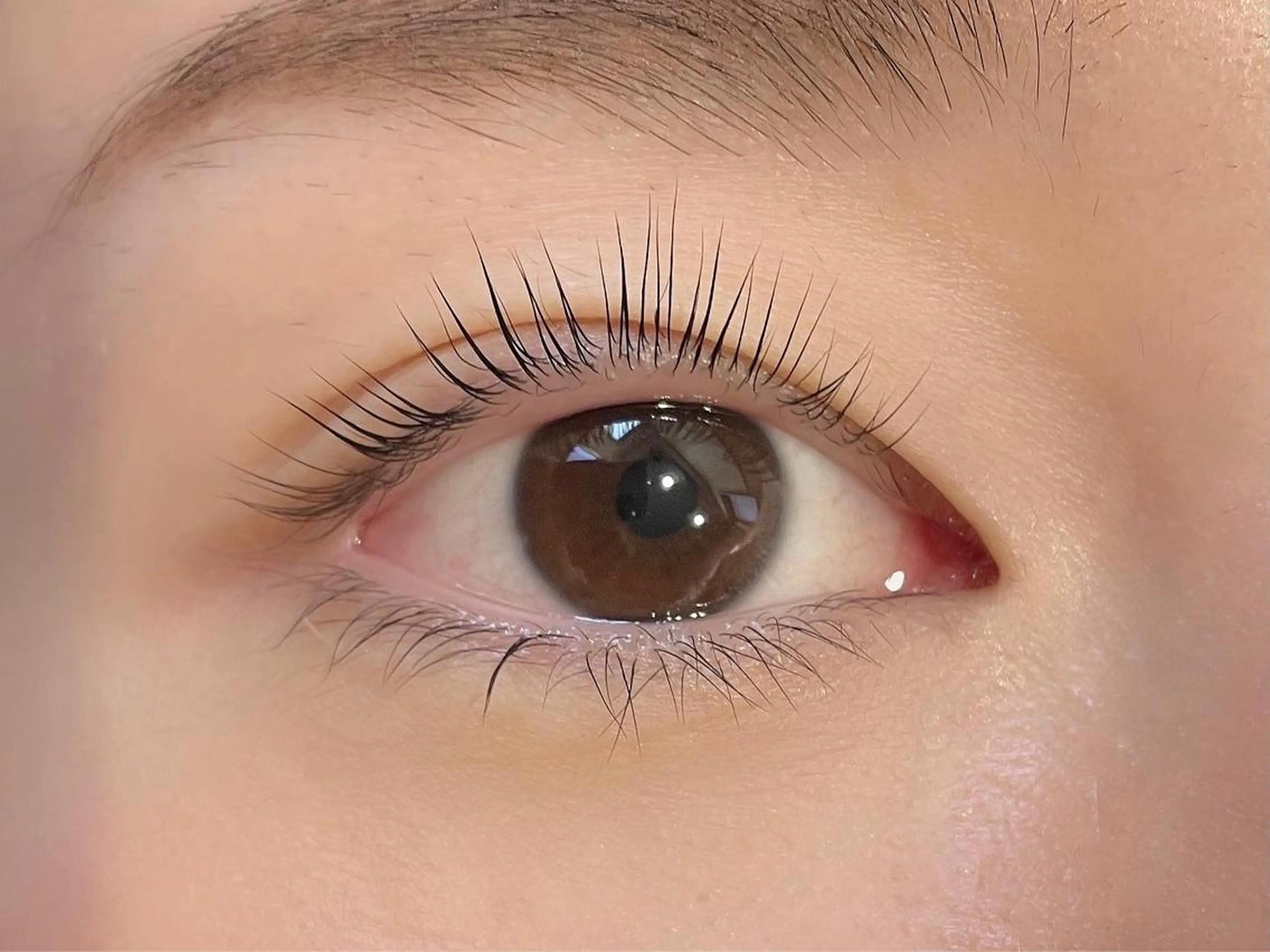 マツエク・マツパ パリジェンヌラッシュリフト 眉毛専門店brow art上野店　阿部の眉毛・アイブロウイメージ