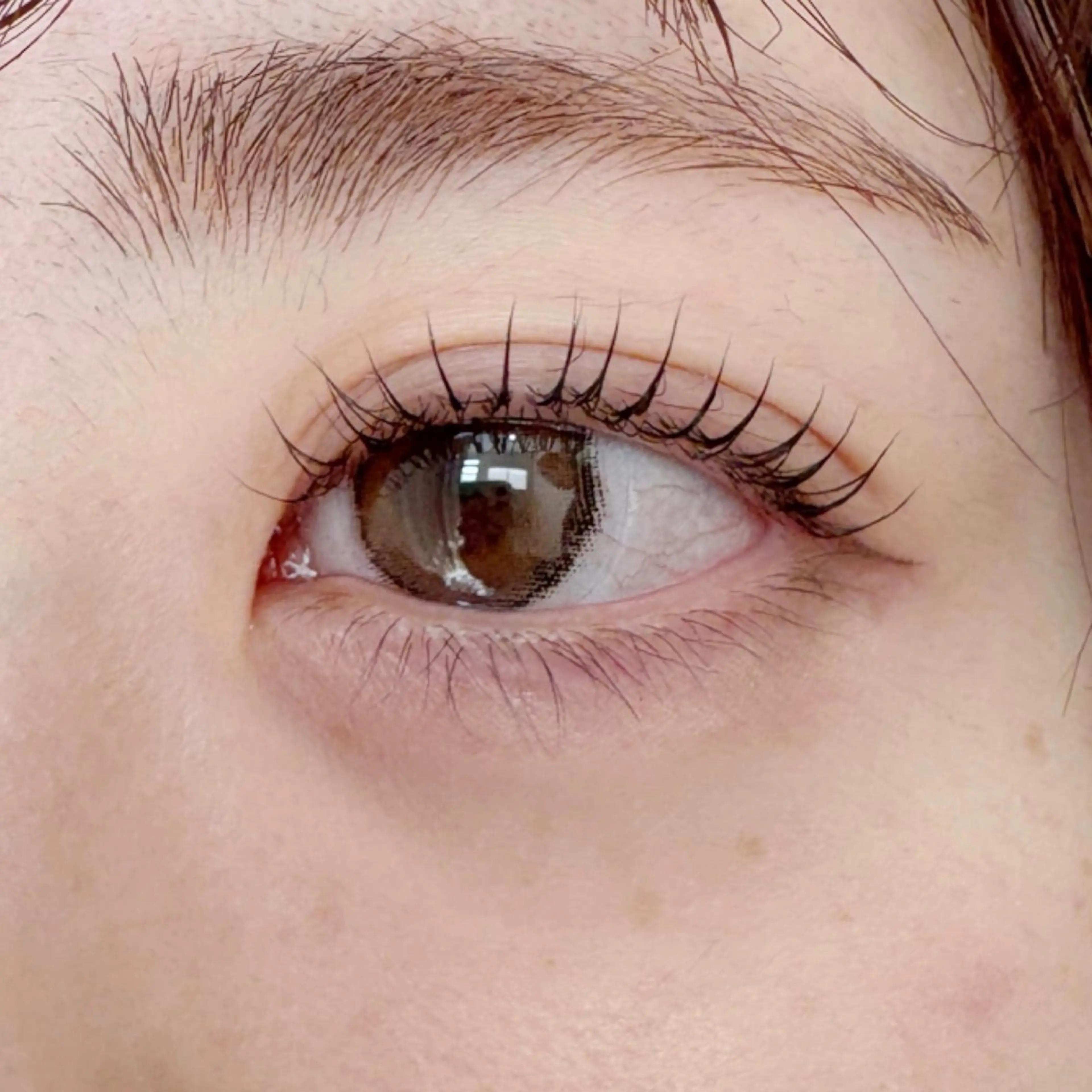 🫧まつ毛パーマ🫧※モデル募集になります。の写真