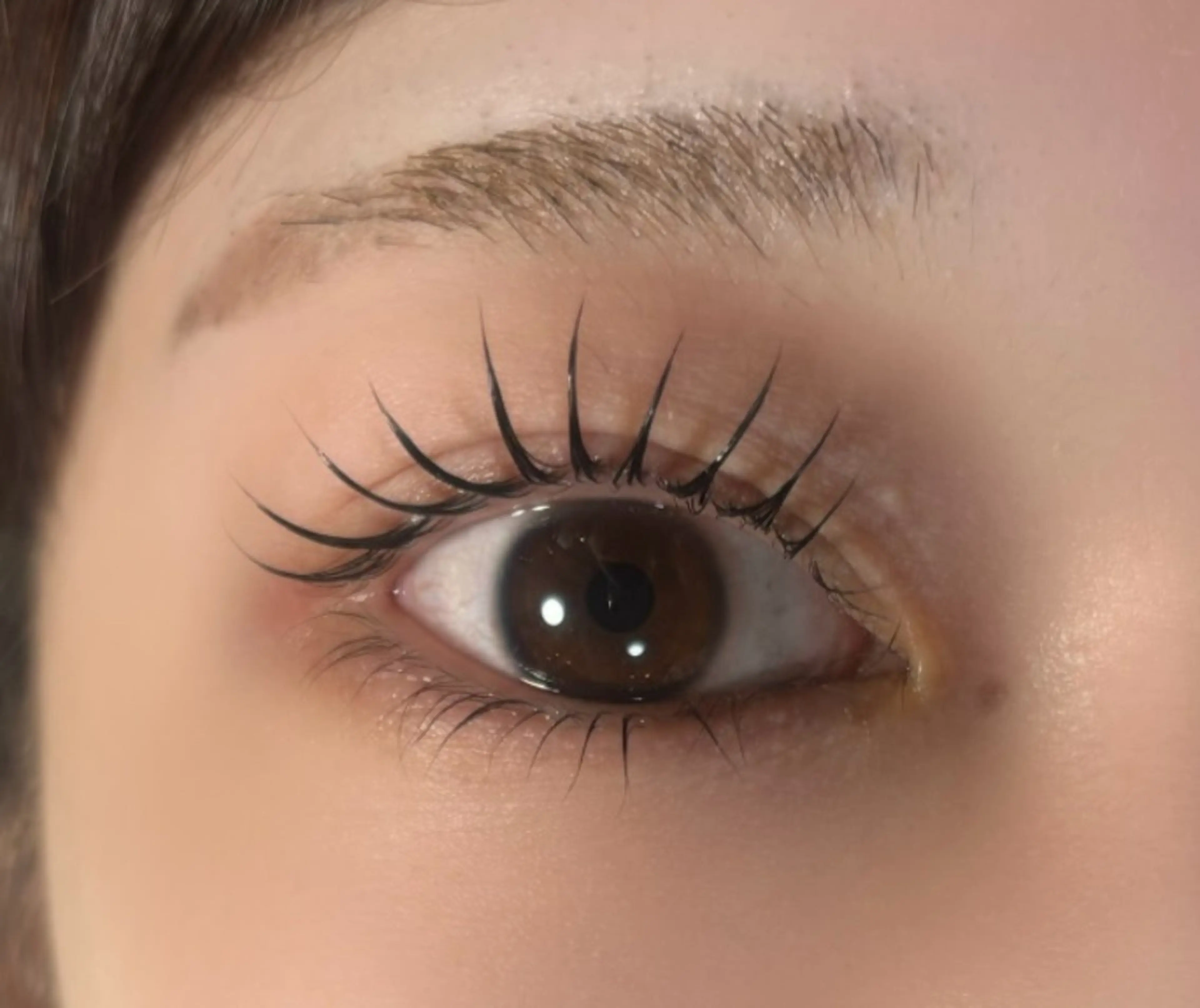 マツエク・マツパ マツパ マリーテレジア 🐨MIURAのマツエク・マツパデザイン