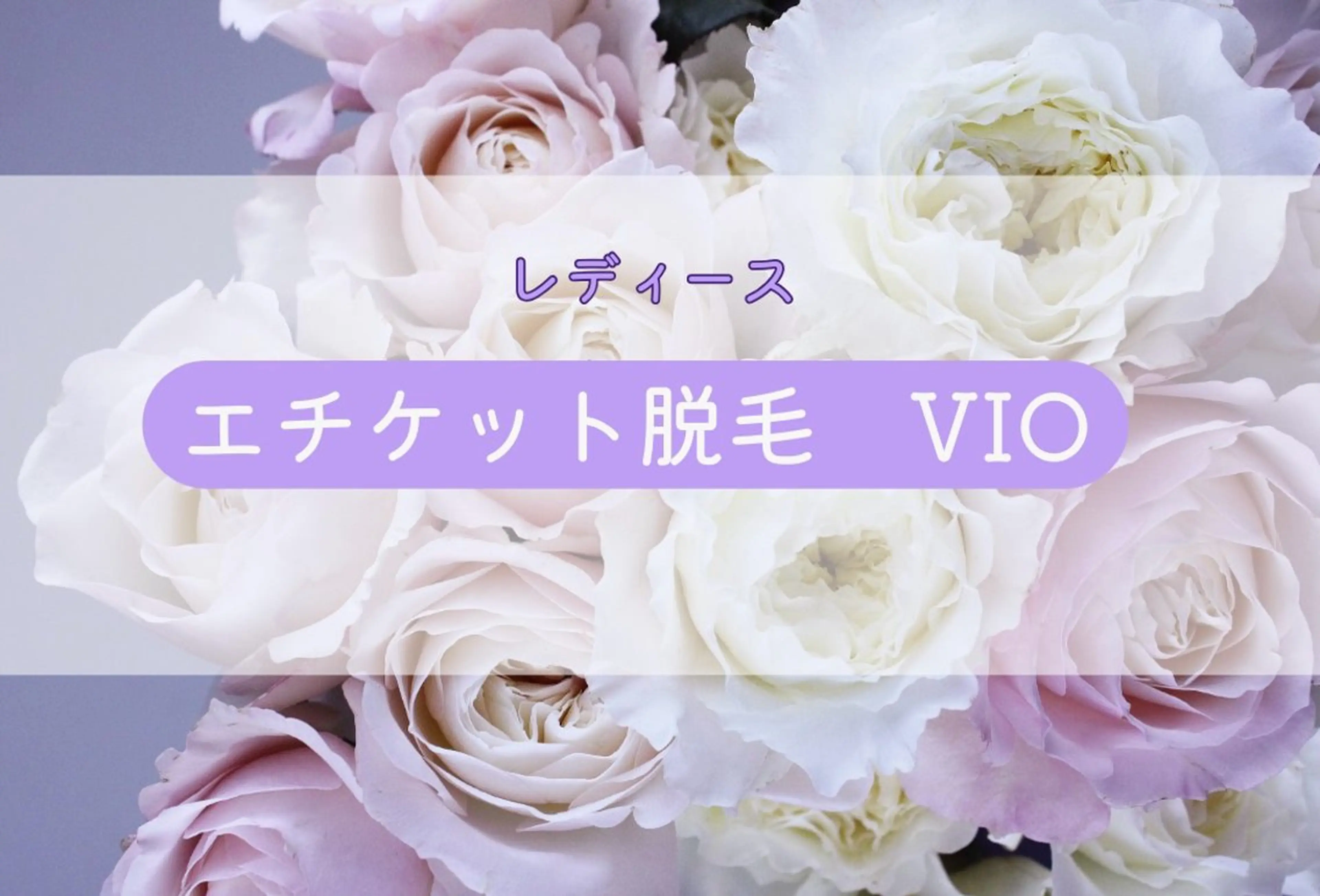 【レディース】エチケット脱毛　VIO45の写真